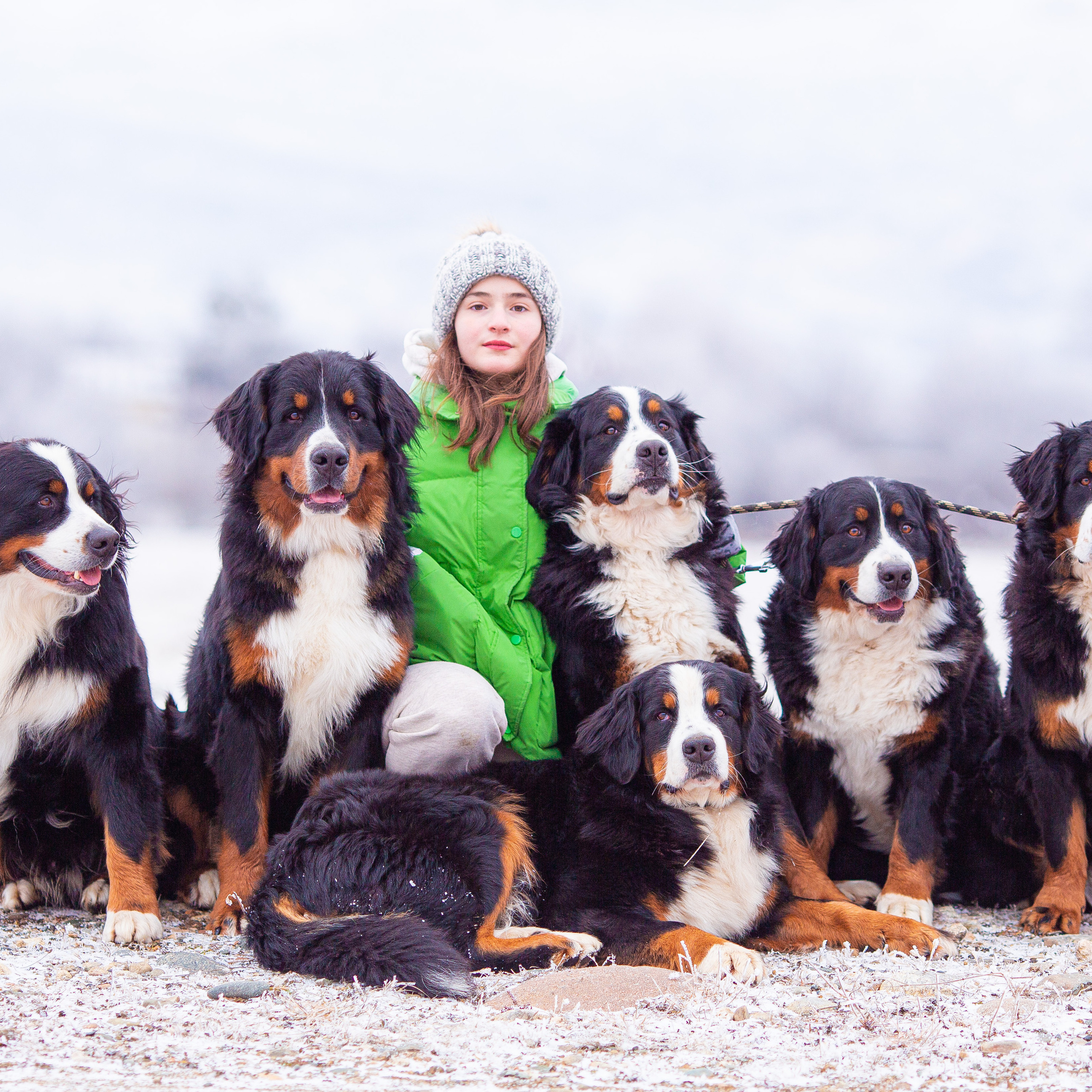 Оставить отзыв