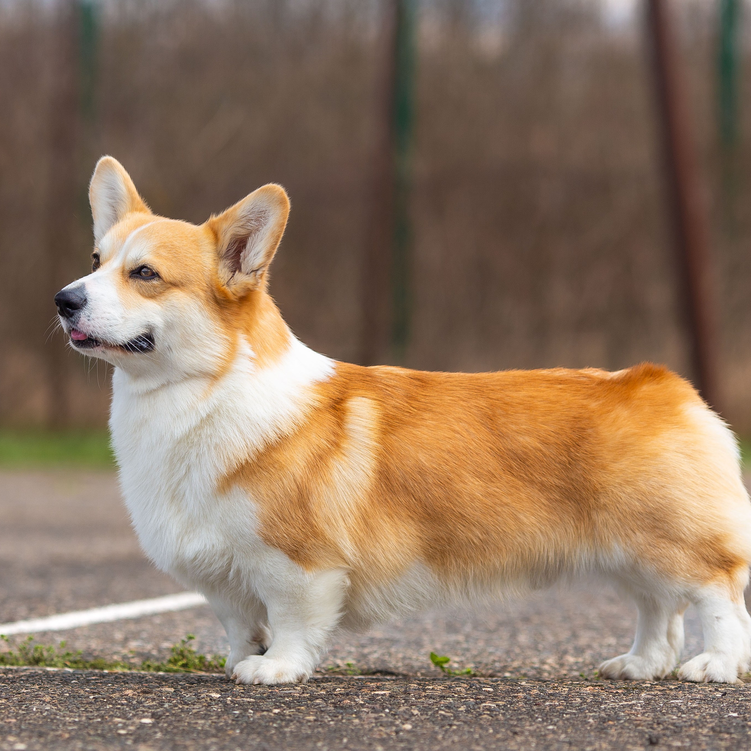 Оставить отзыв