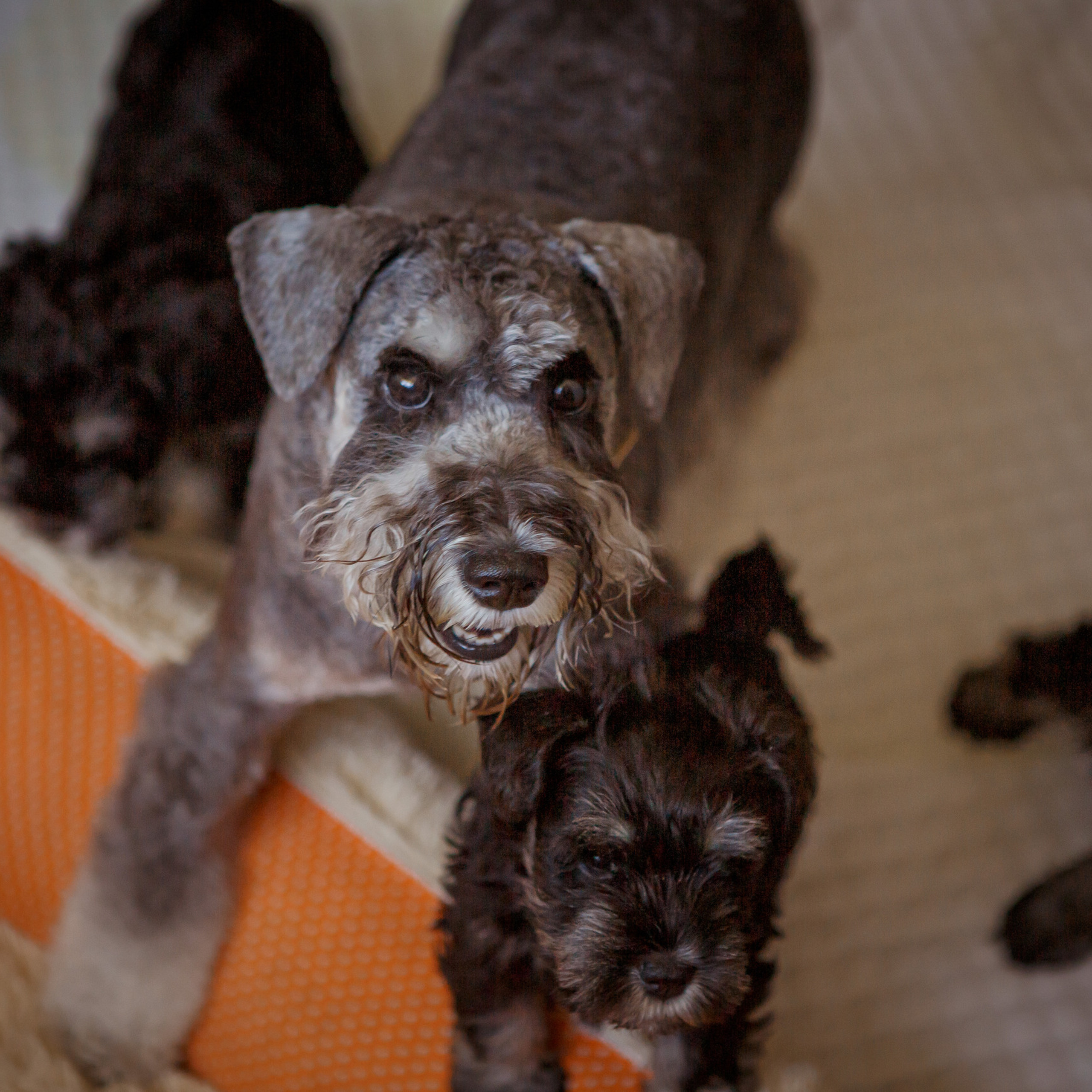 Оставить отзыв