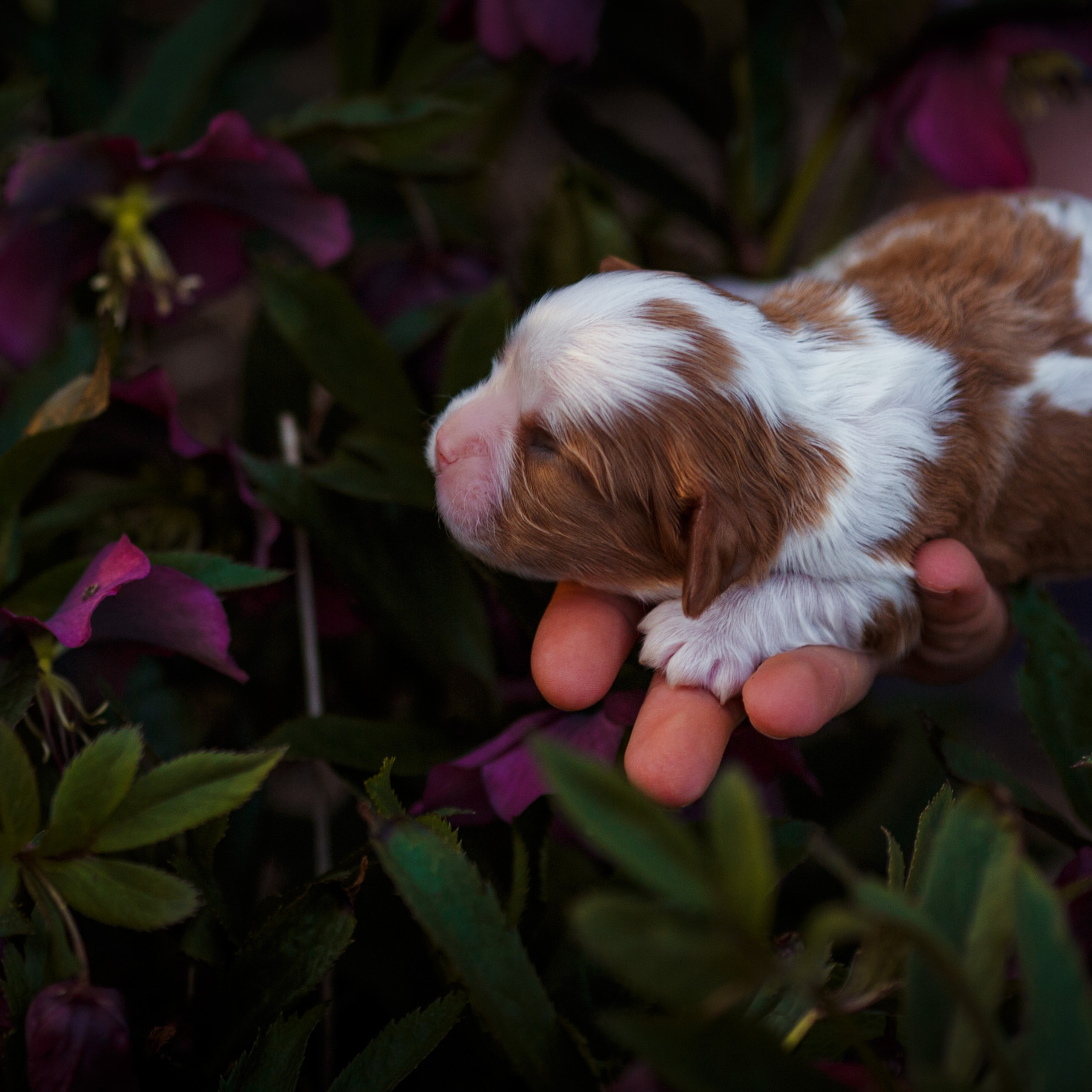 Оставить отзыв