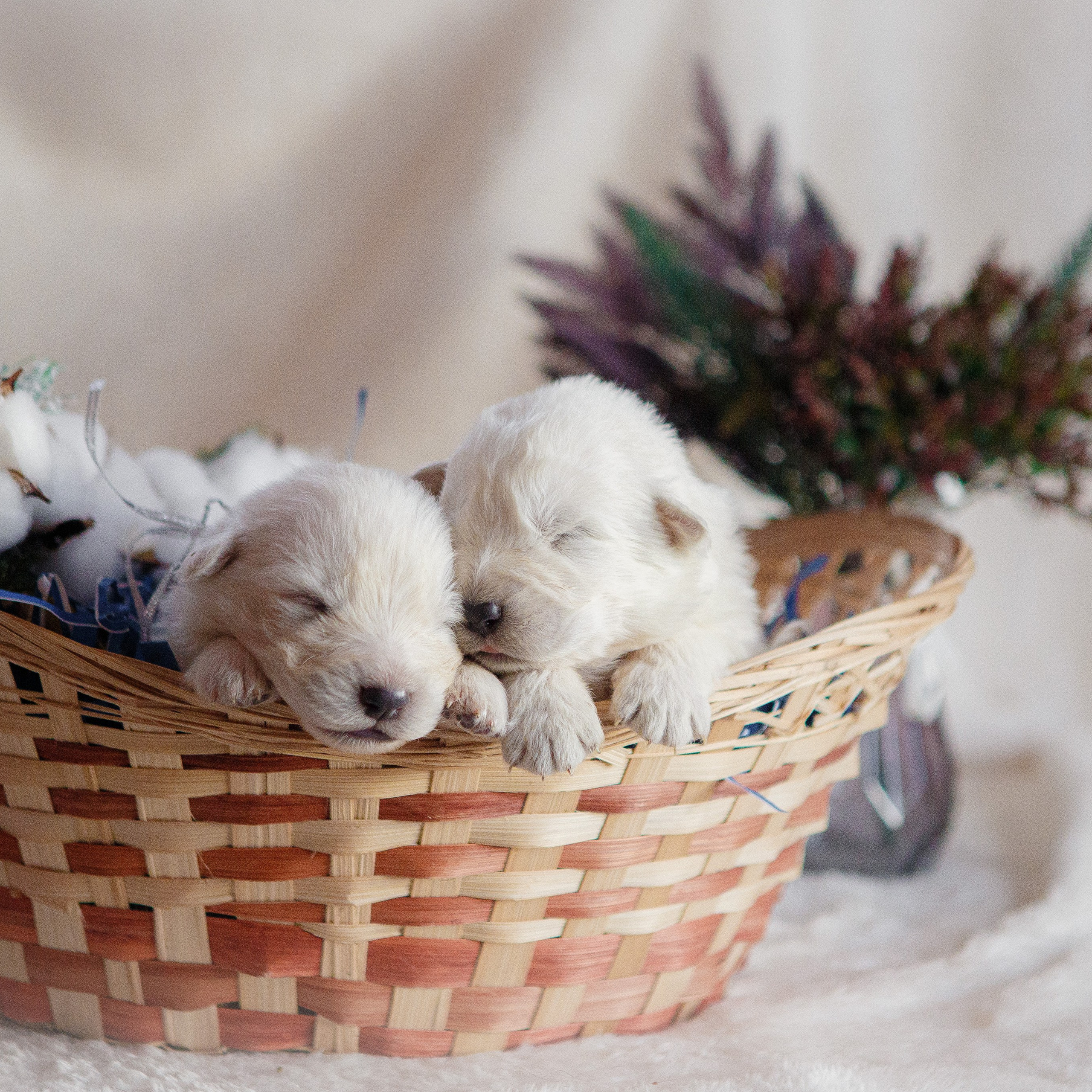 Оставить отзыв