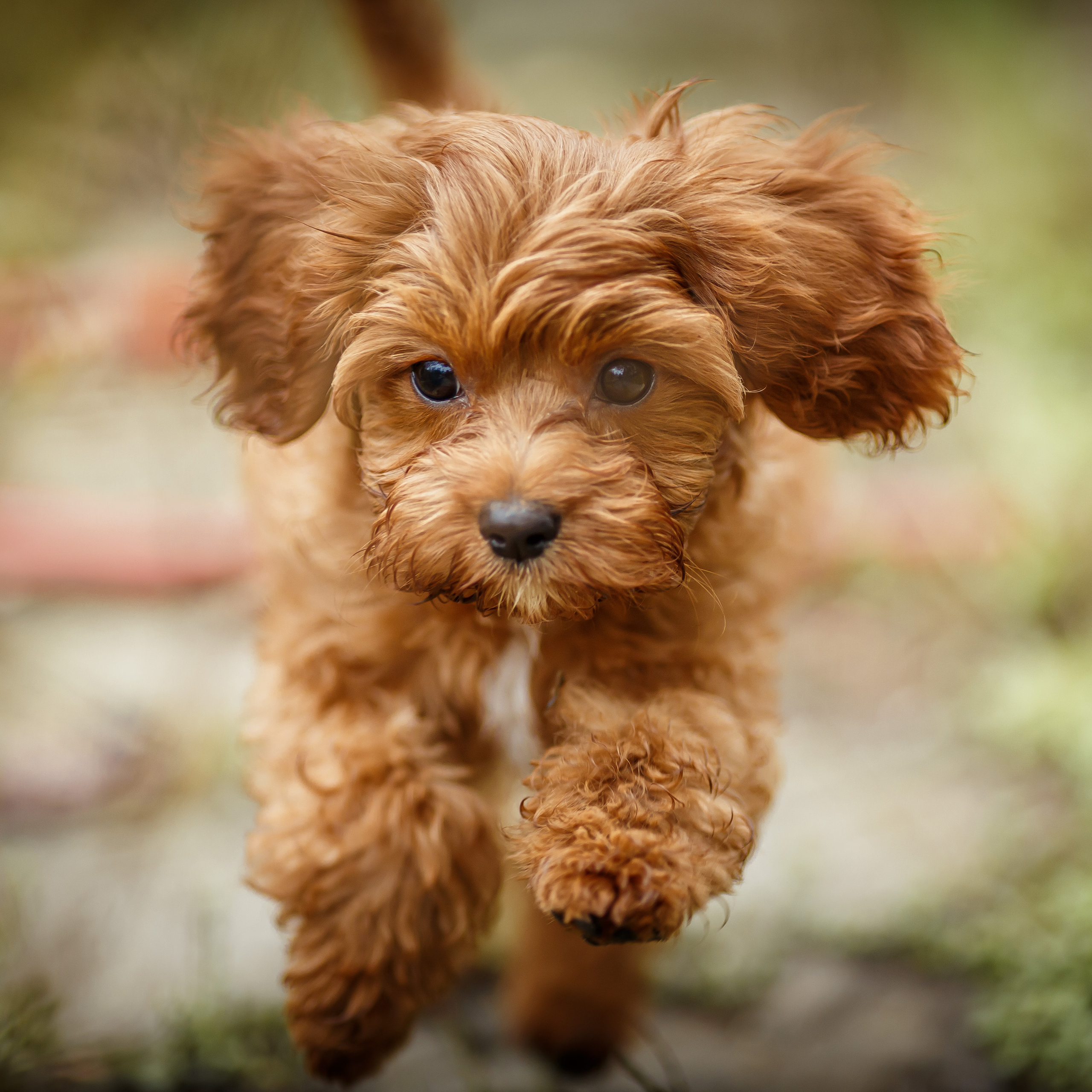 Оставить отзыв