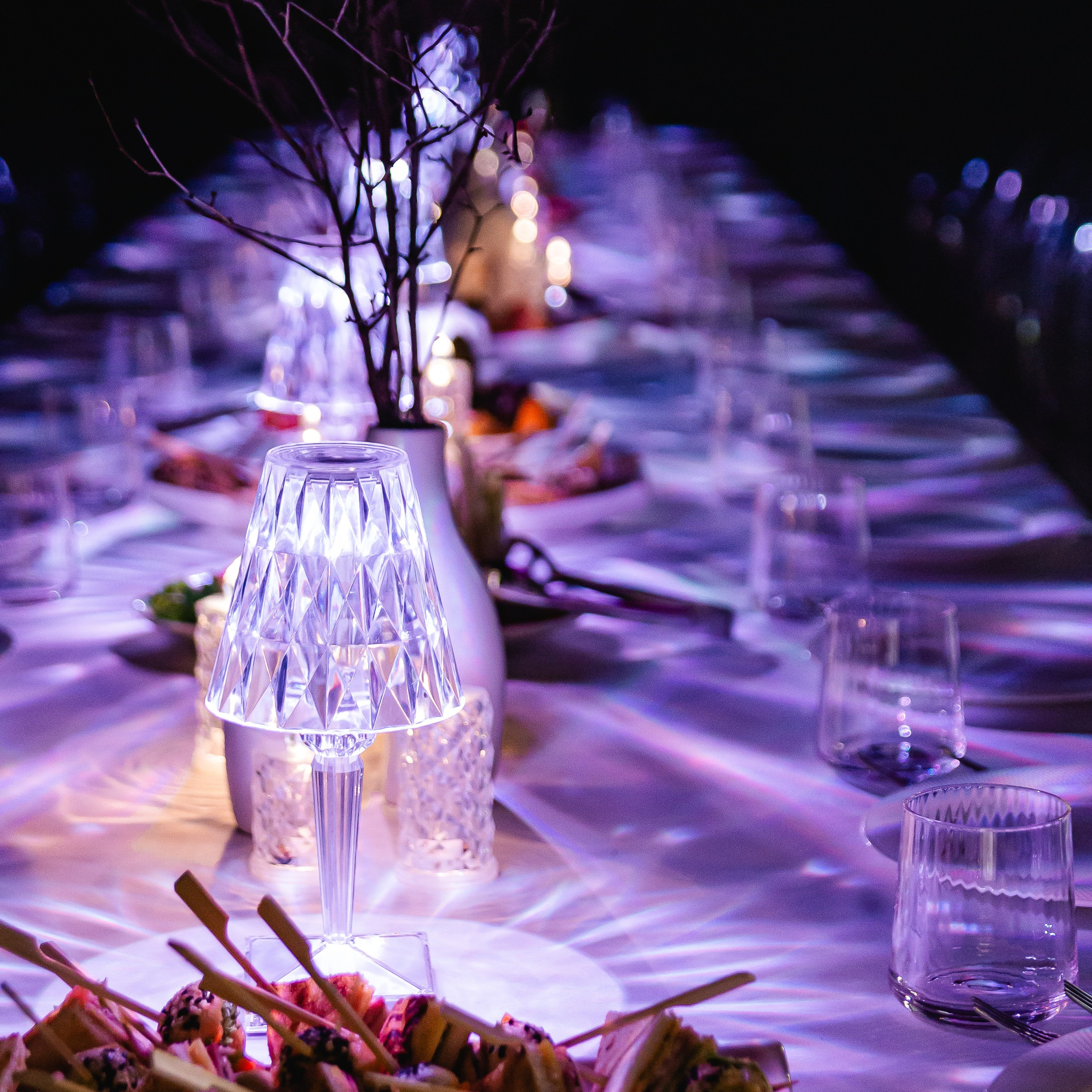 Amore House | День Рождения Сони