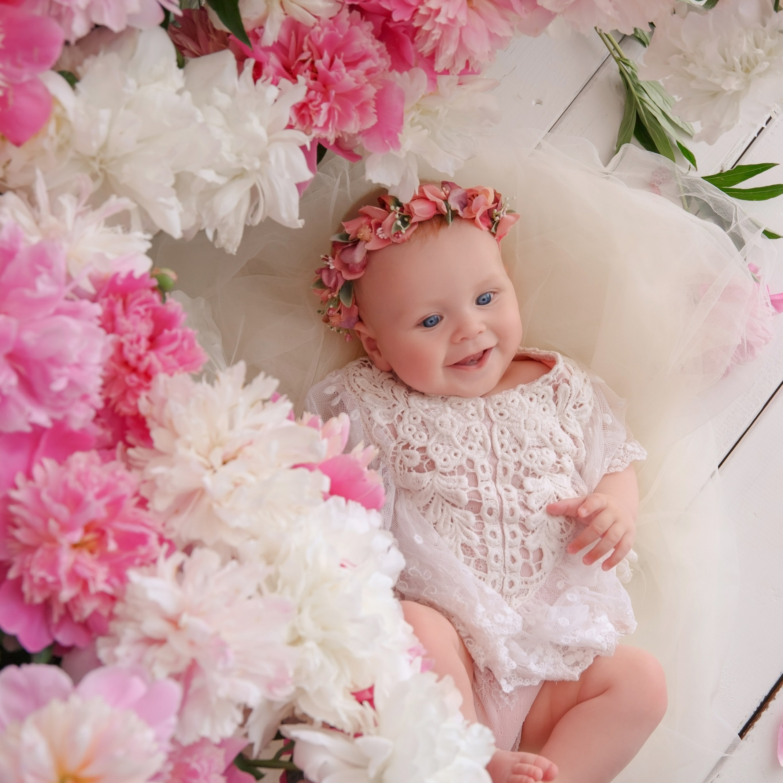 Фотодни. Цветы. Детский и Newborn фотограф в Ярославле Старостина Анна