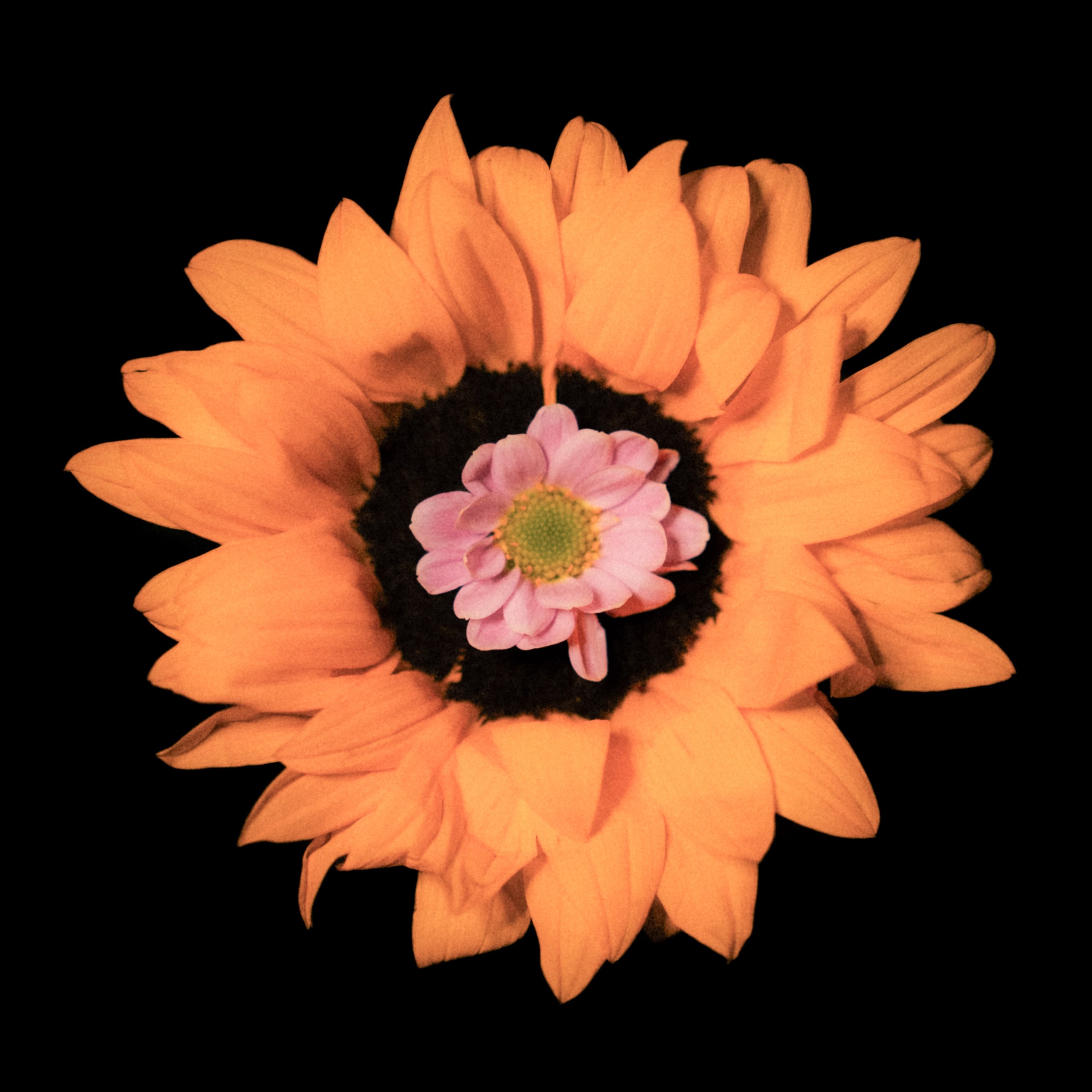 Единство (серия)