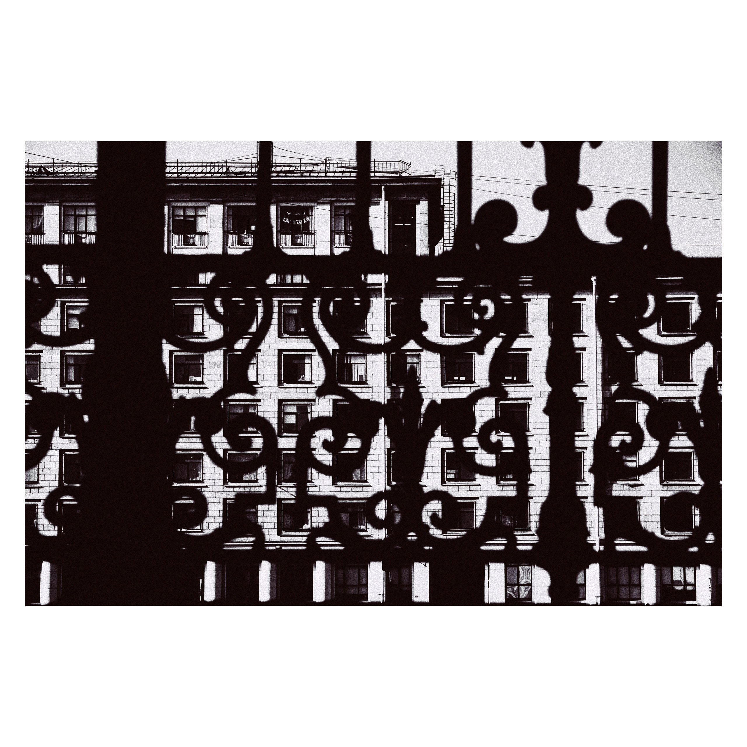 Питерский свет (серия)