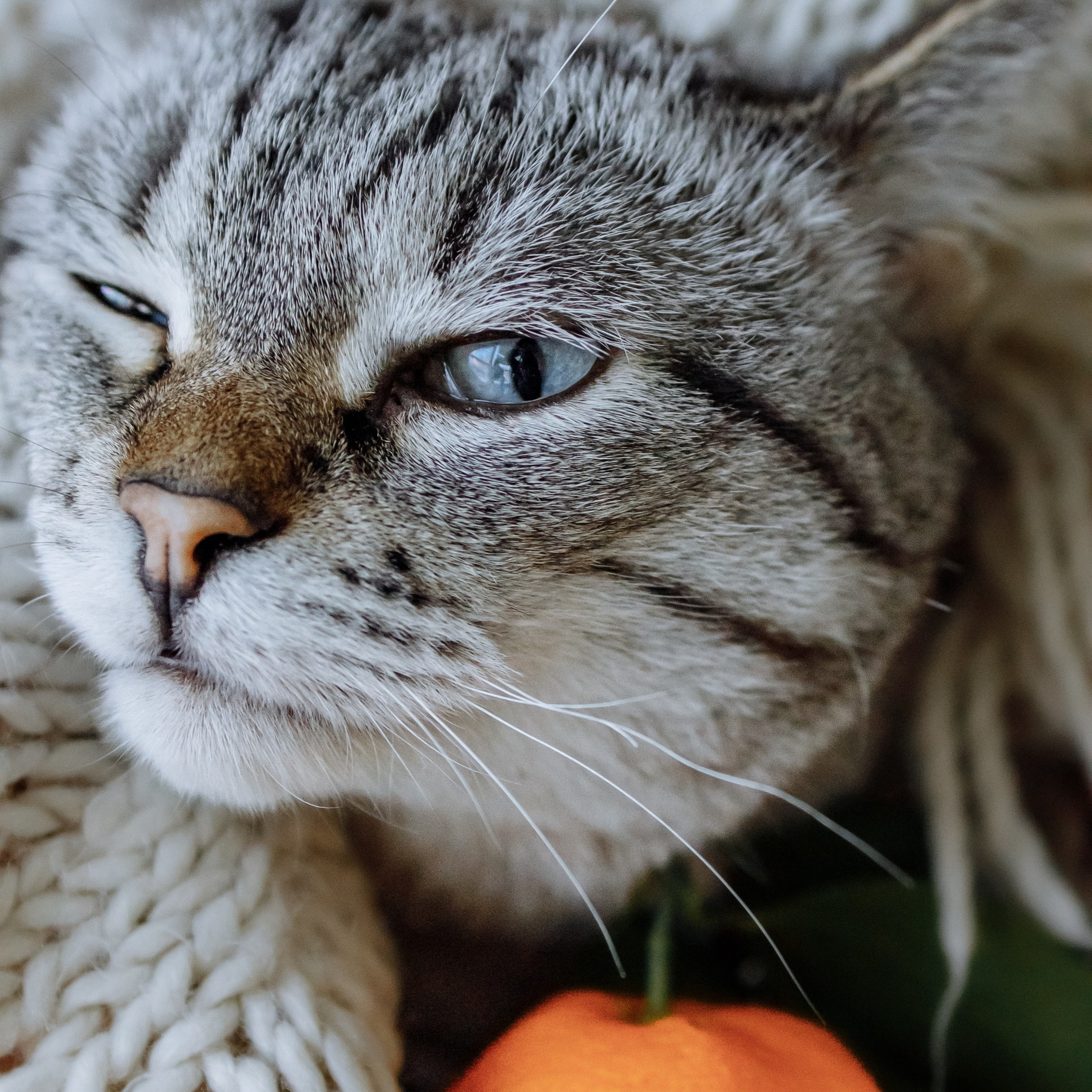 ОТЗЫВЫ. Фотограф Наталья Карякина|Челябинск