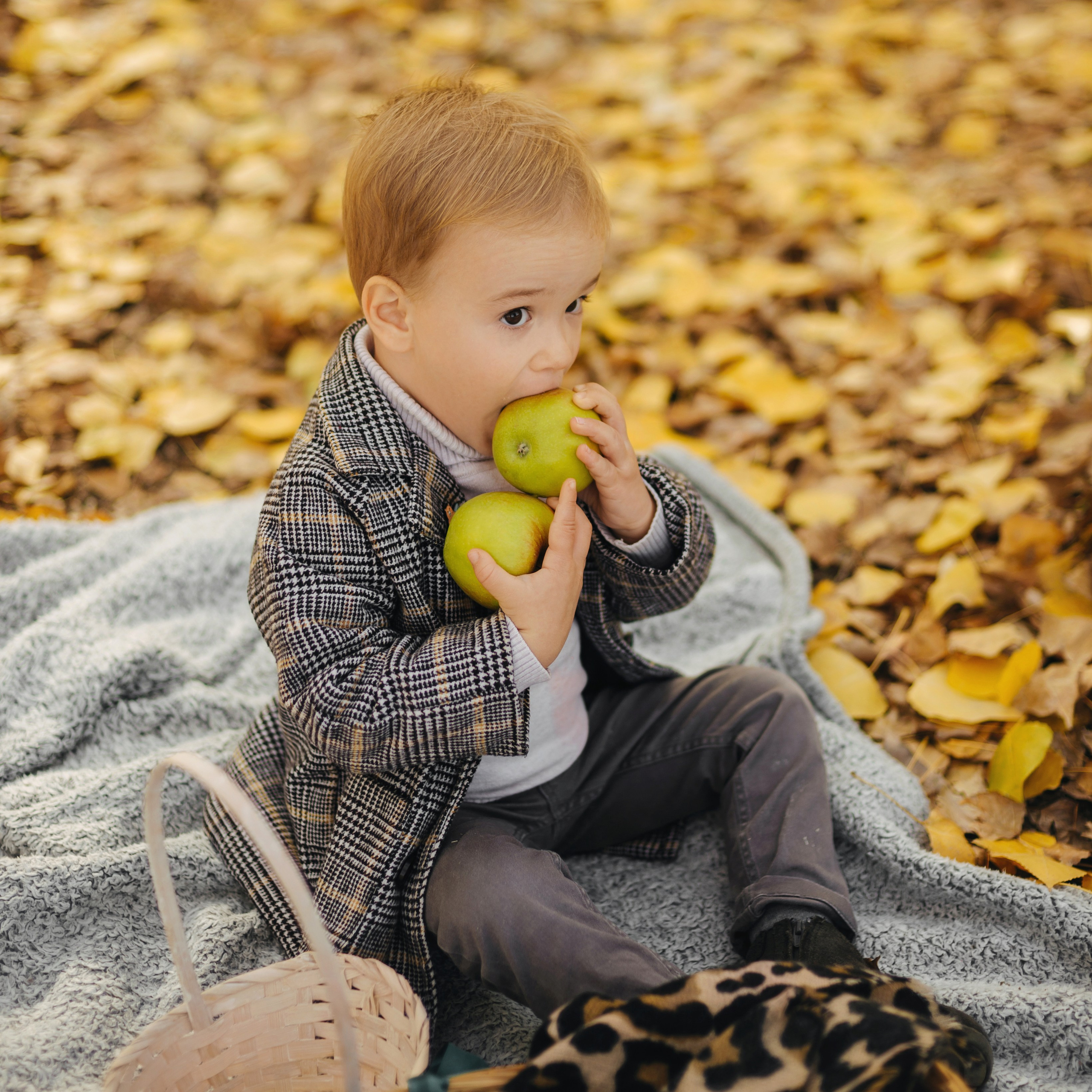 Семейные. Фотограф Эктов Алексей