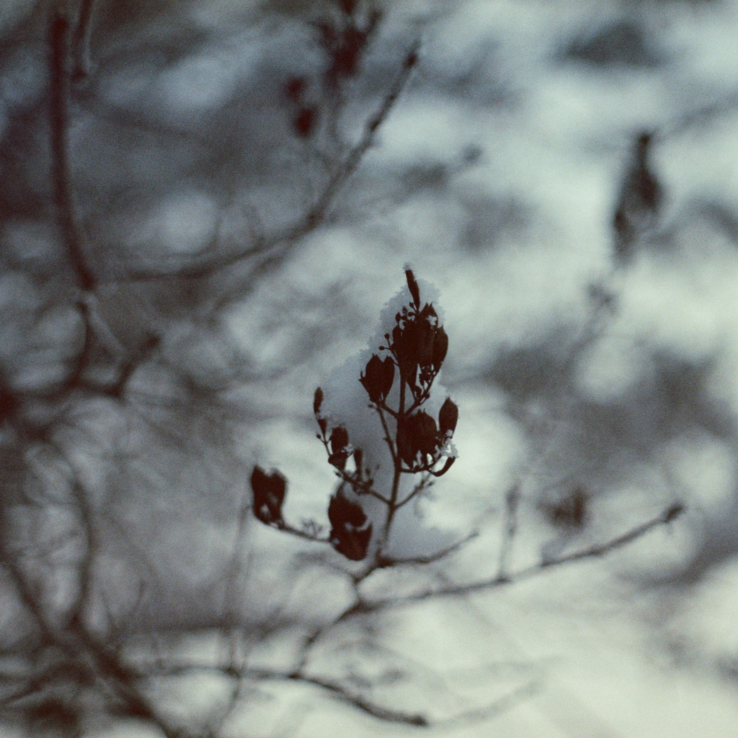 АРТ. Фотограф Эктов Алексей