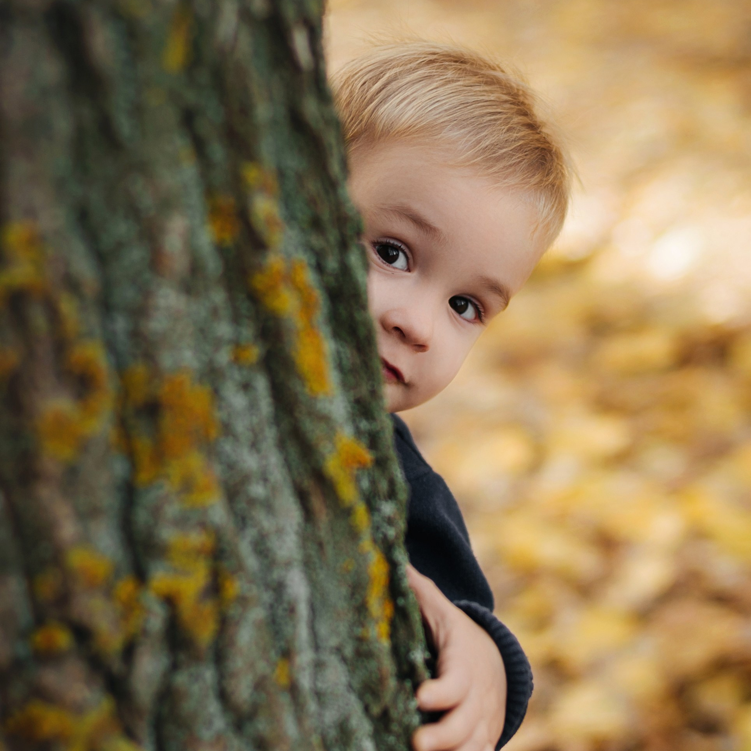 Семейные. Фотограф Эктов Алексей