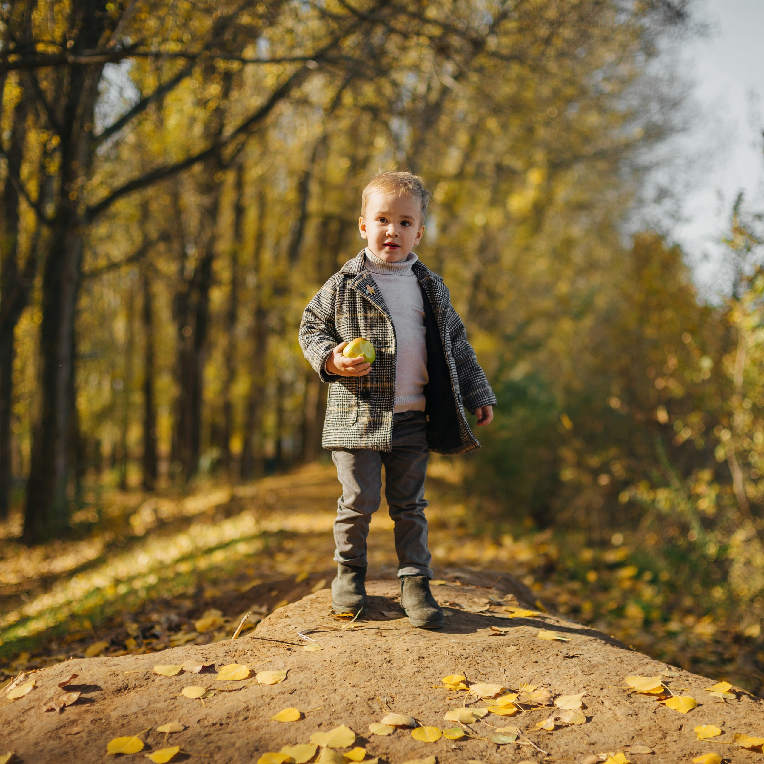 Семейные. Фотограф Эктов Алексей