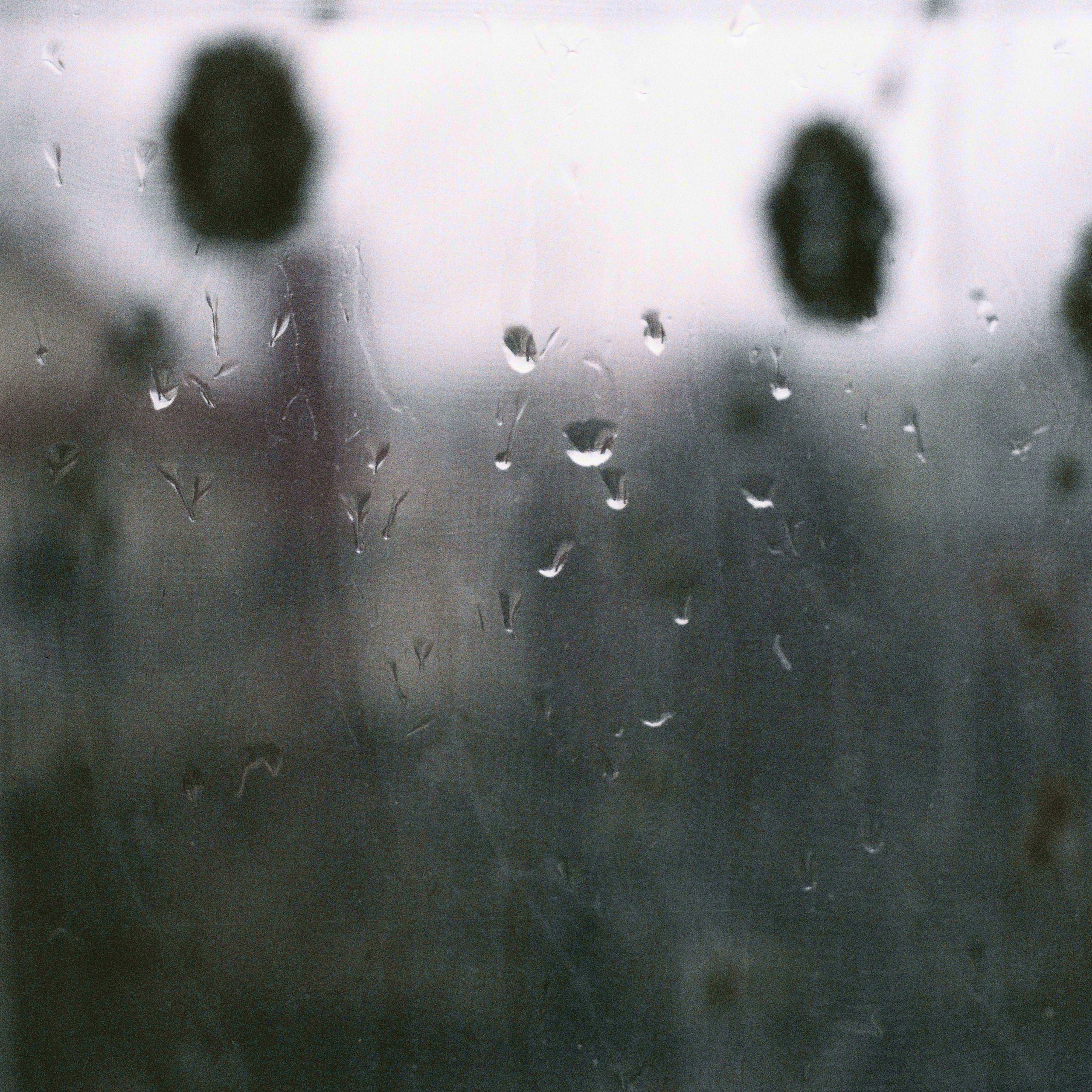 АРТ. Фотограф Эктов Алексей