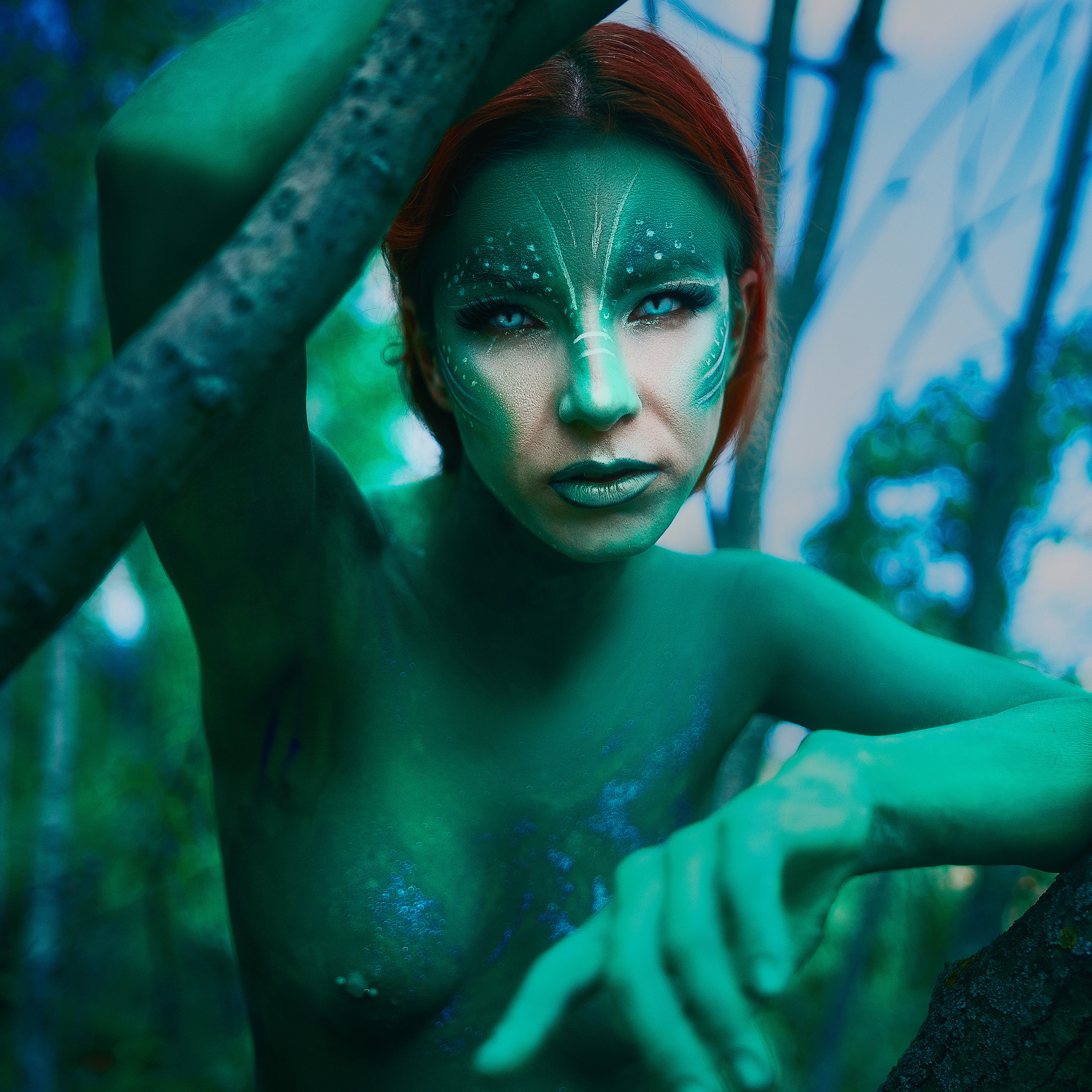 Mermaid by Alexander Bogushevsky