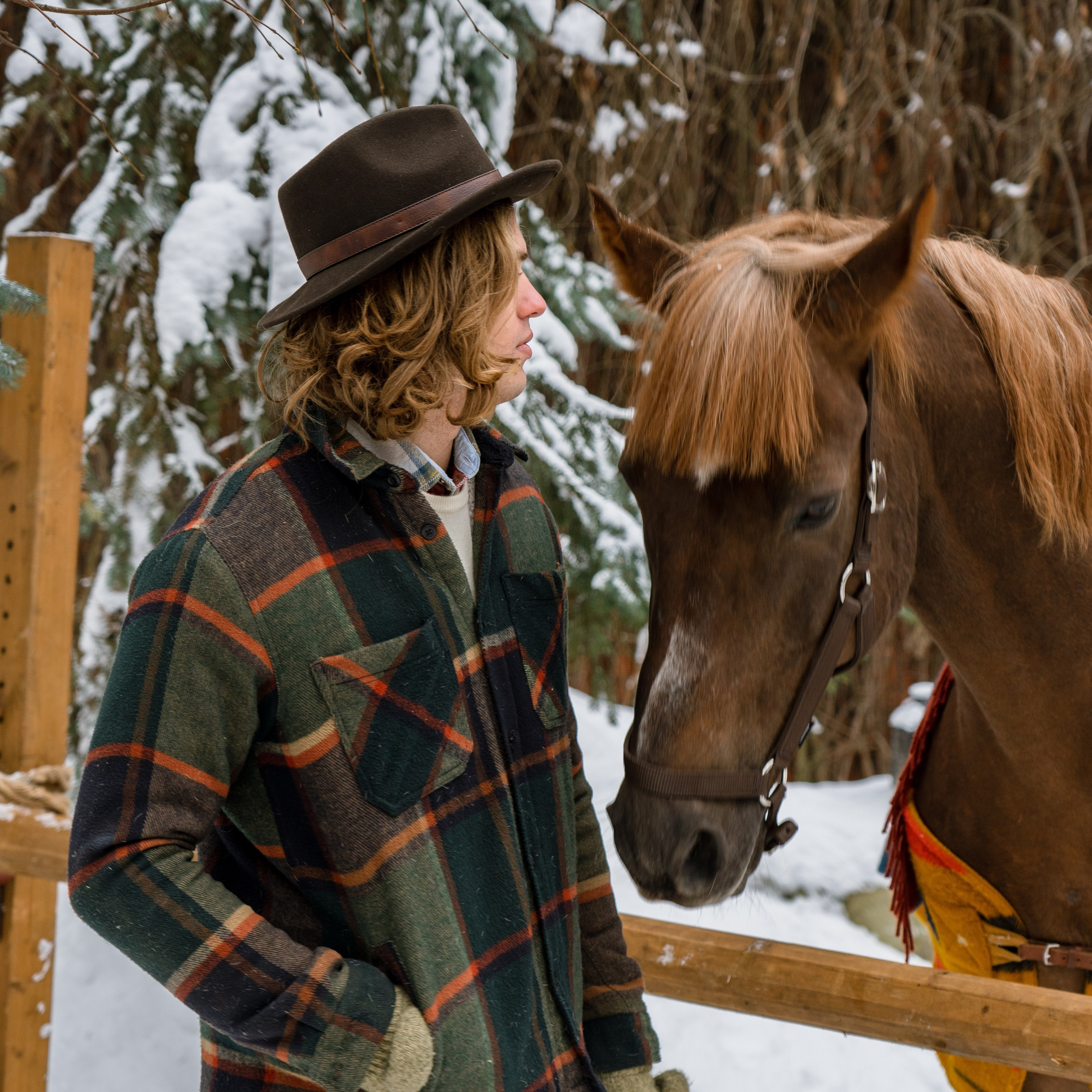 Фотосессия с лошадьми