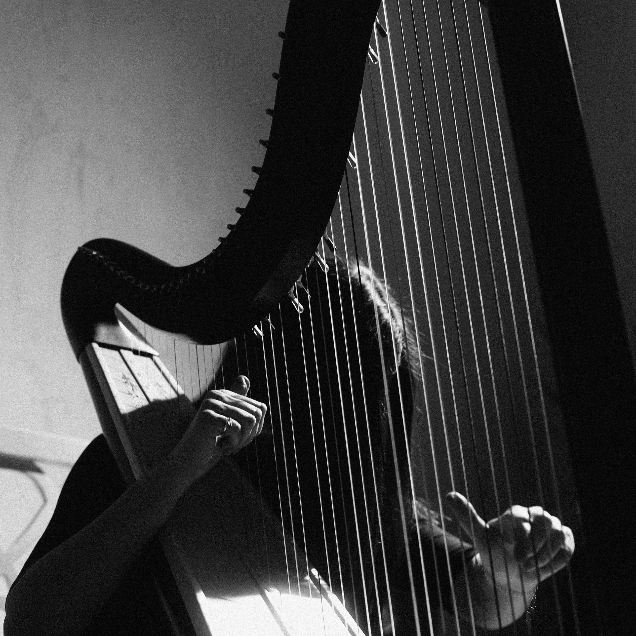 Арфовый дом