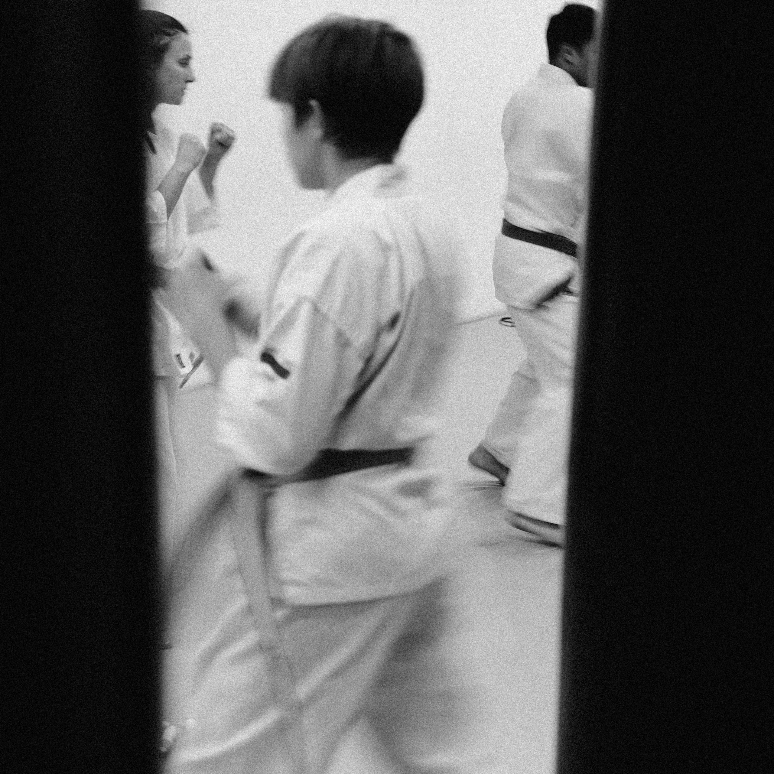 Школа единоборств