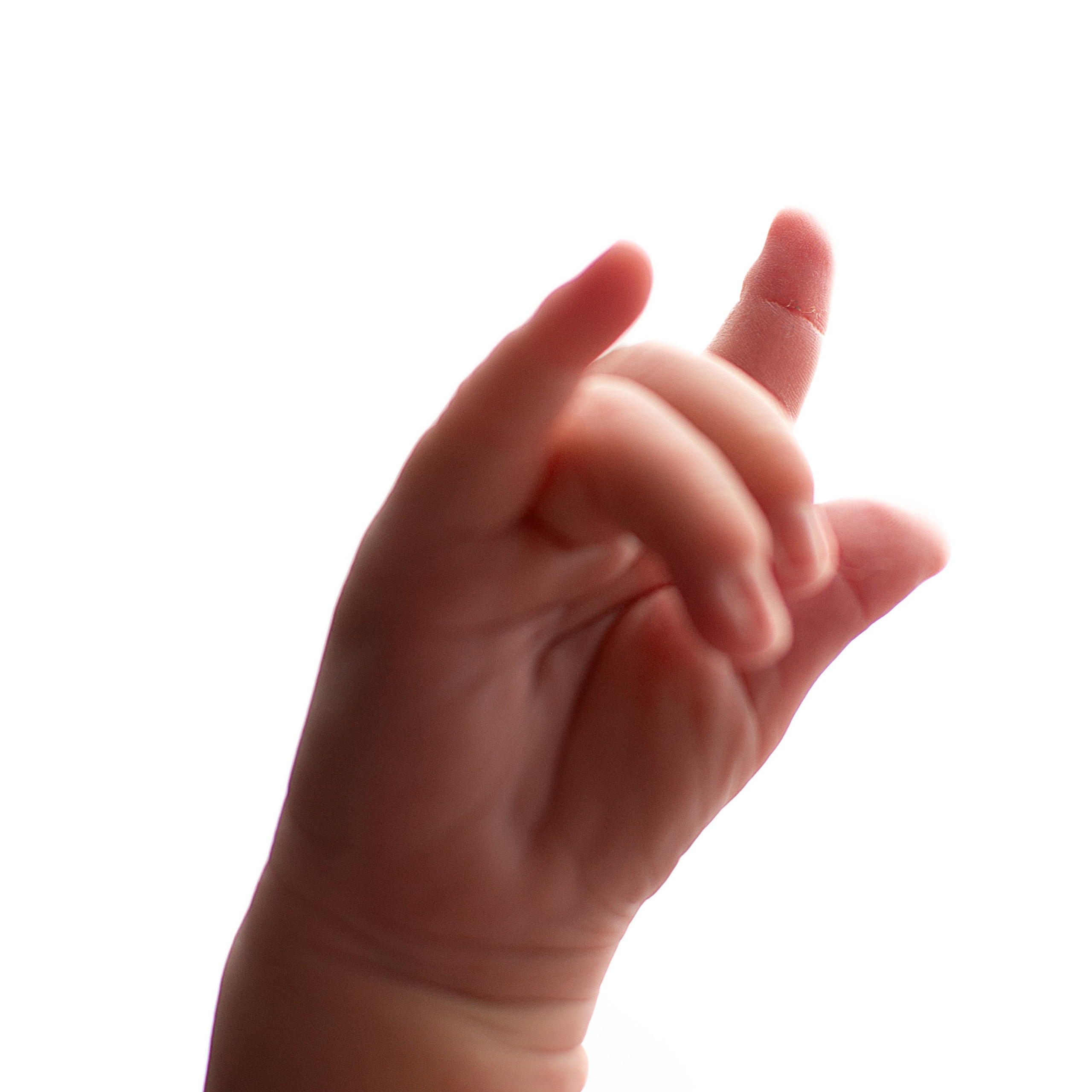 Отзывы. Фотограф новорождённых в Новомосковске Яна Иванушкина