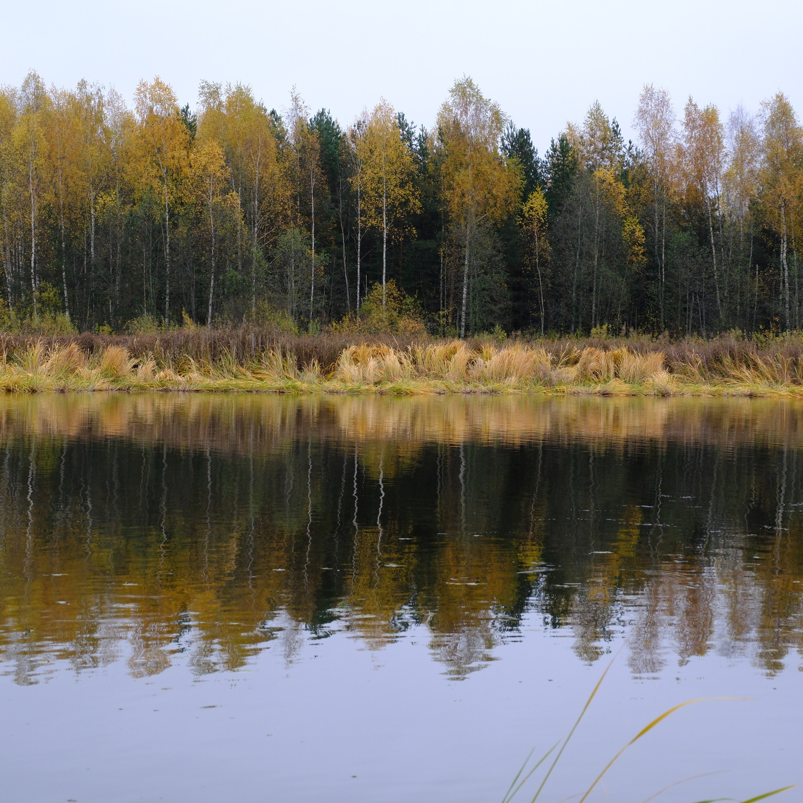 natureplanet earth