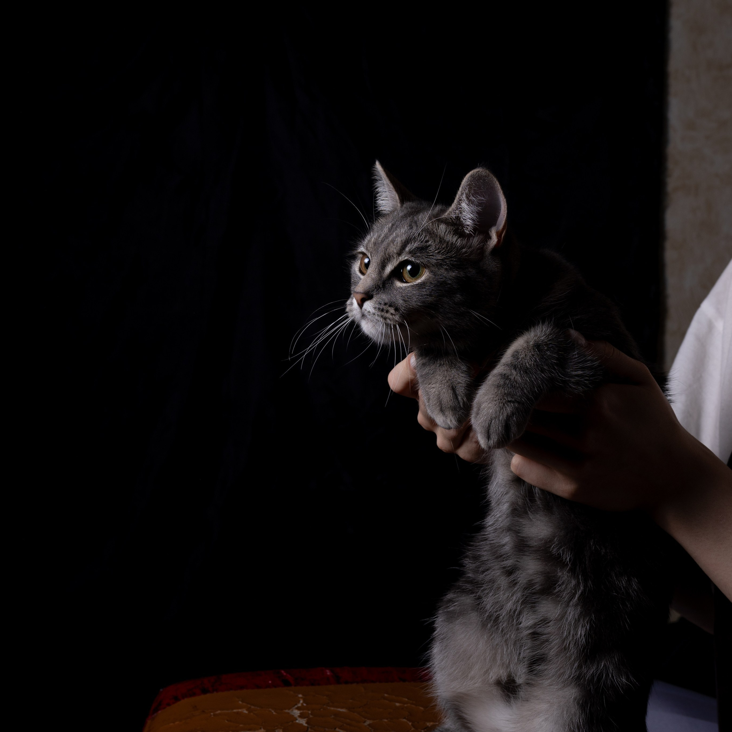 Обратная связь. Фотограф Костенко Полина