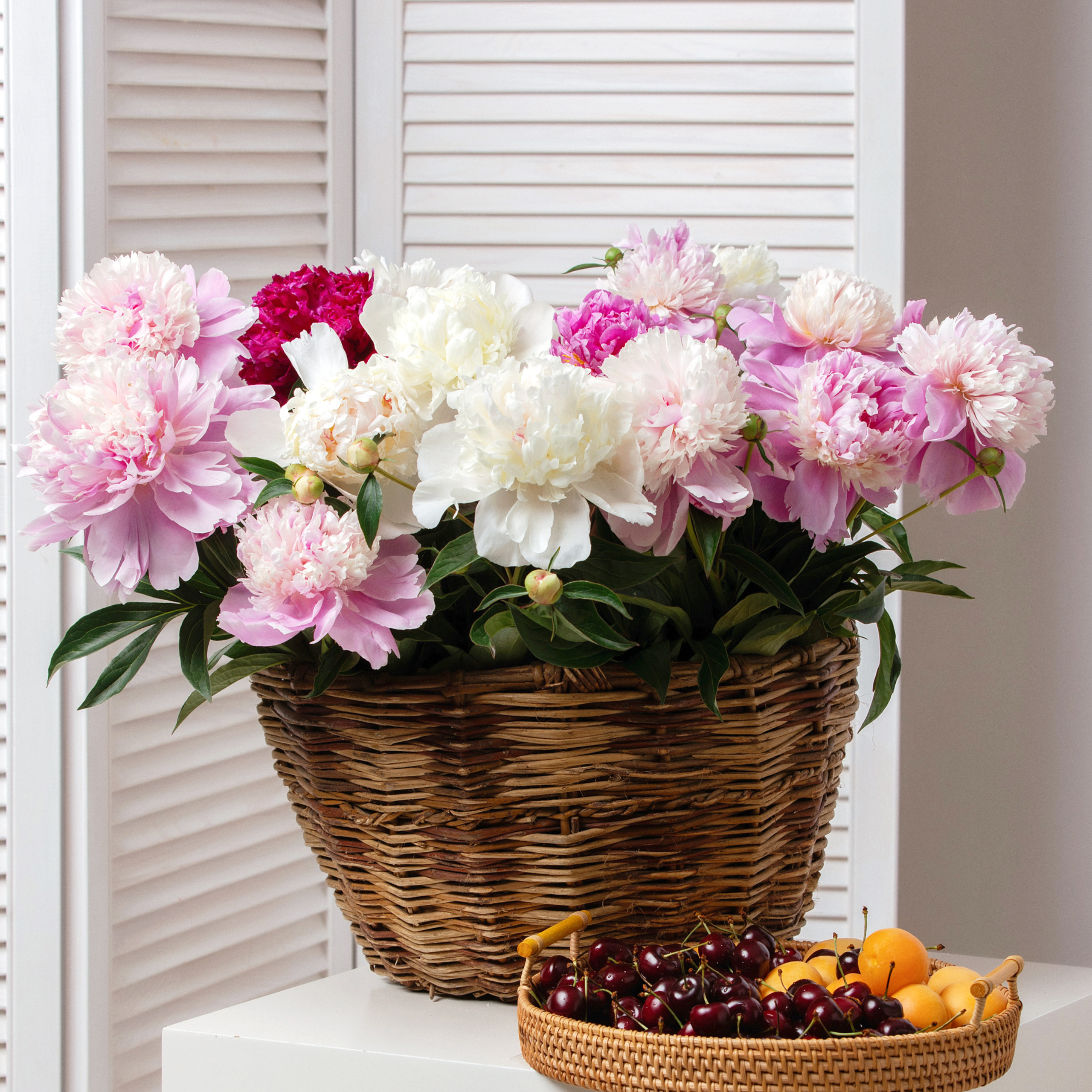 Отзывы. Детский и семейный фотограф в Челябинске Костина Наталья