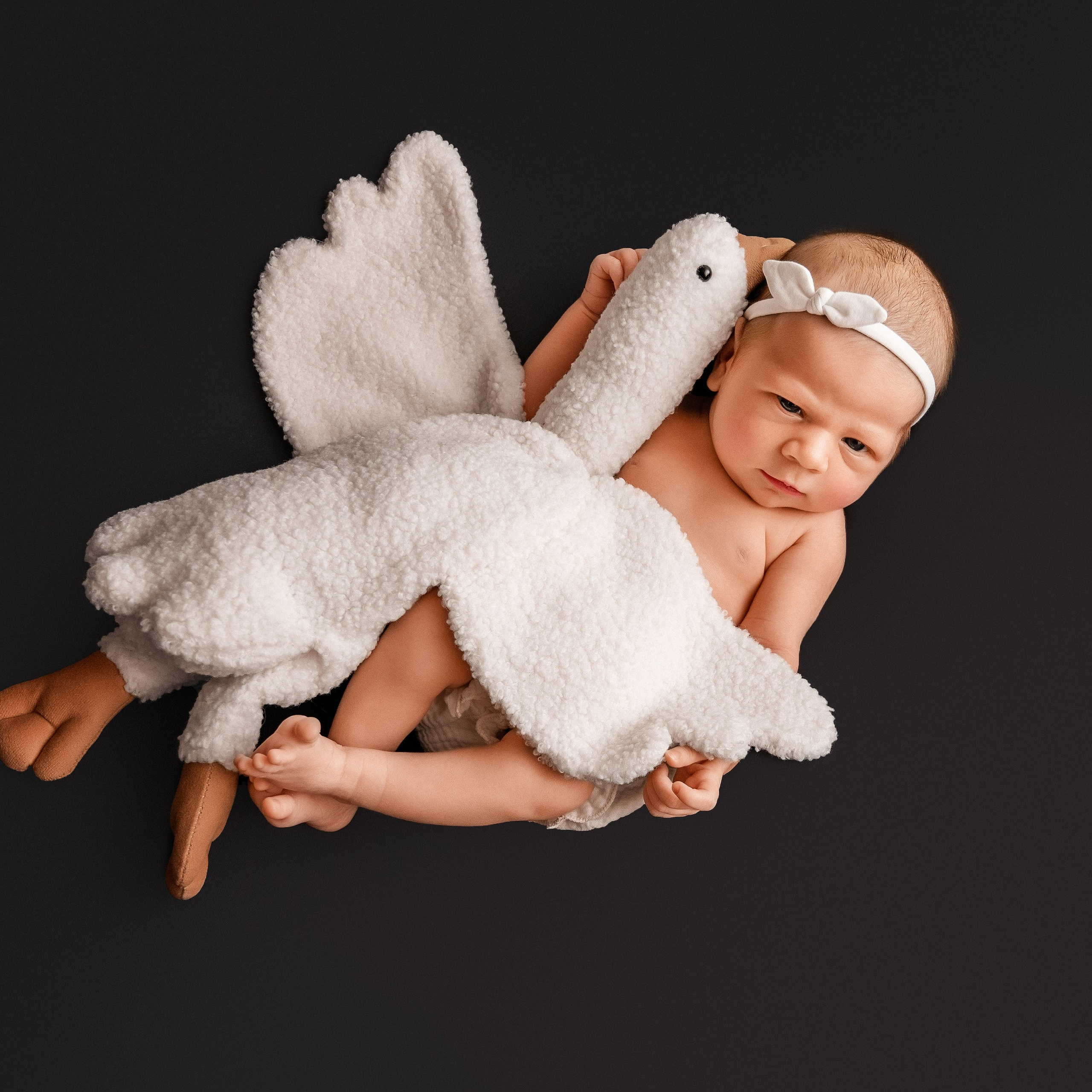 Серия 3 макси. Фотограф новорожденных малышей в Санкт-Петербурге