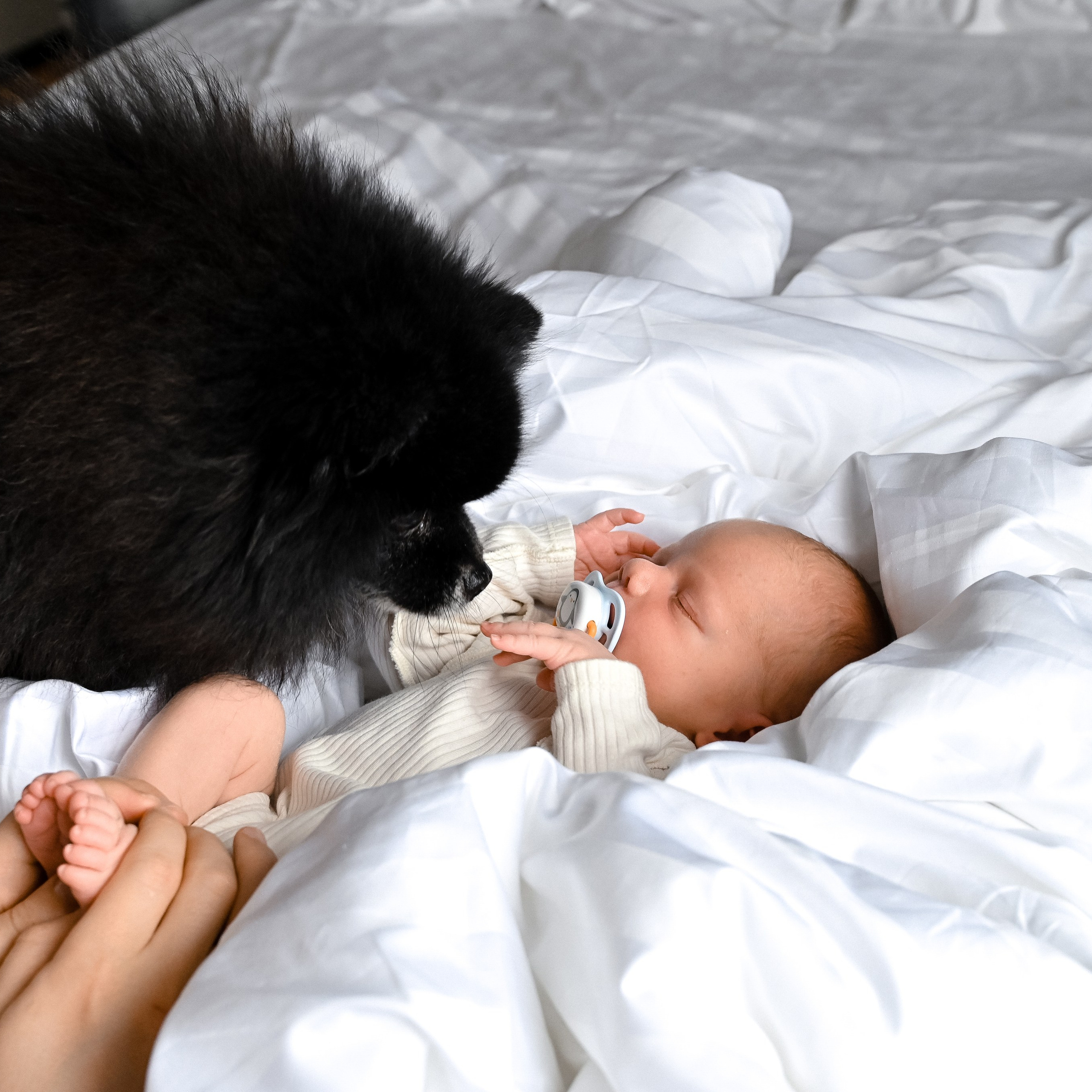 Лайфстайл без ретуши. Фотограф новорожденных малышей в Санкт-Петербурге