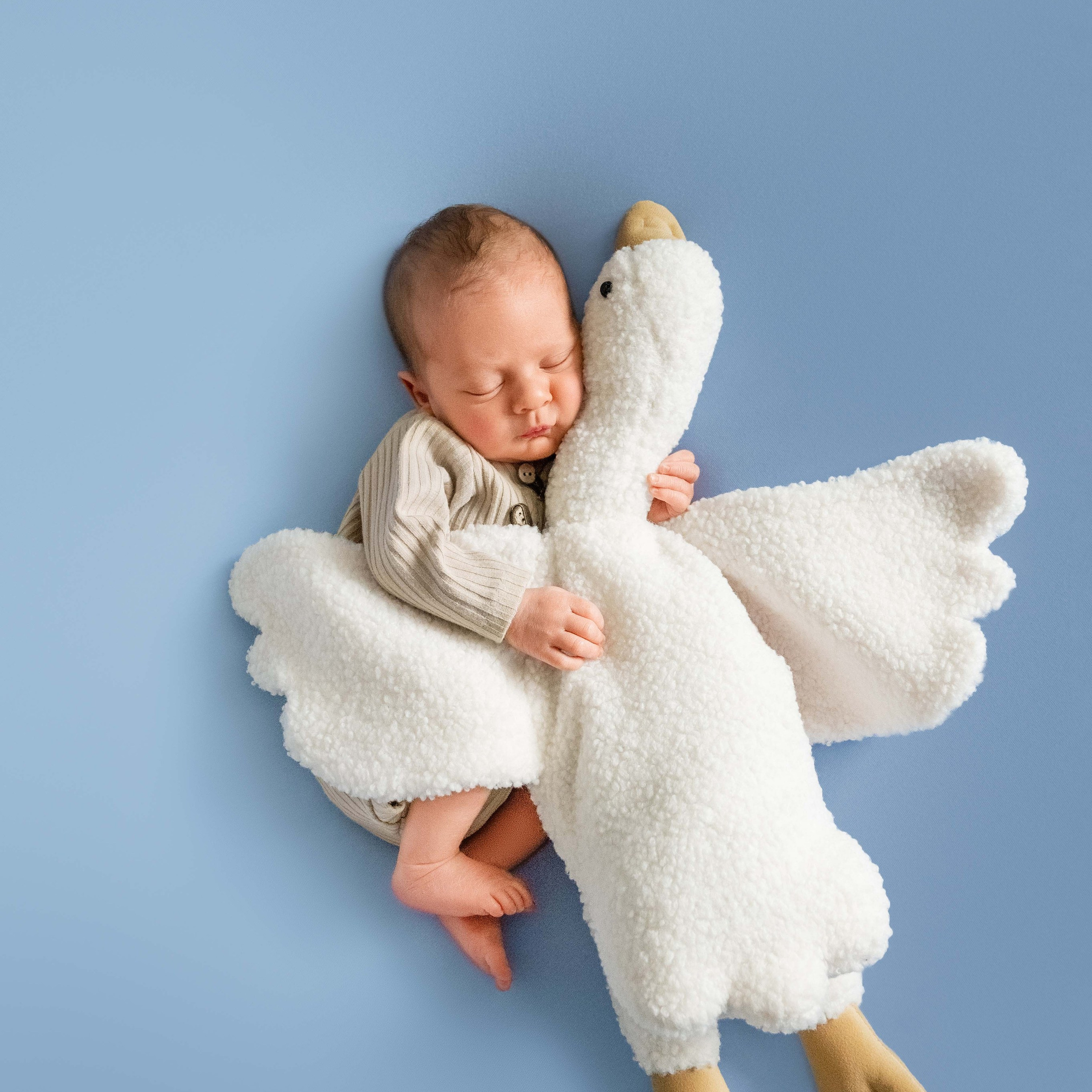 Серия 1 вариант. Фотограф новорожденных малышей в Санкт-Петербурге