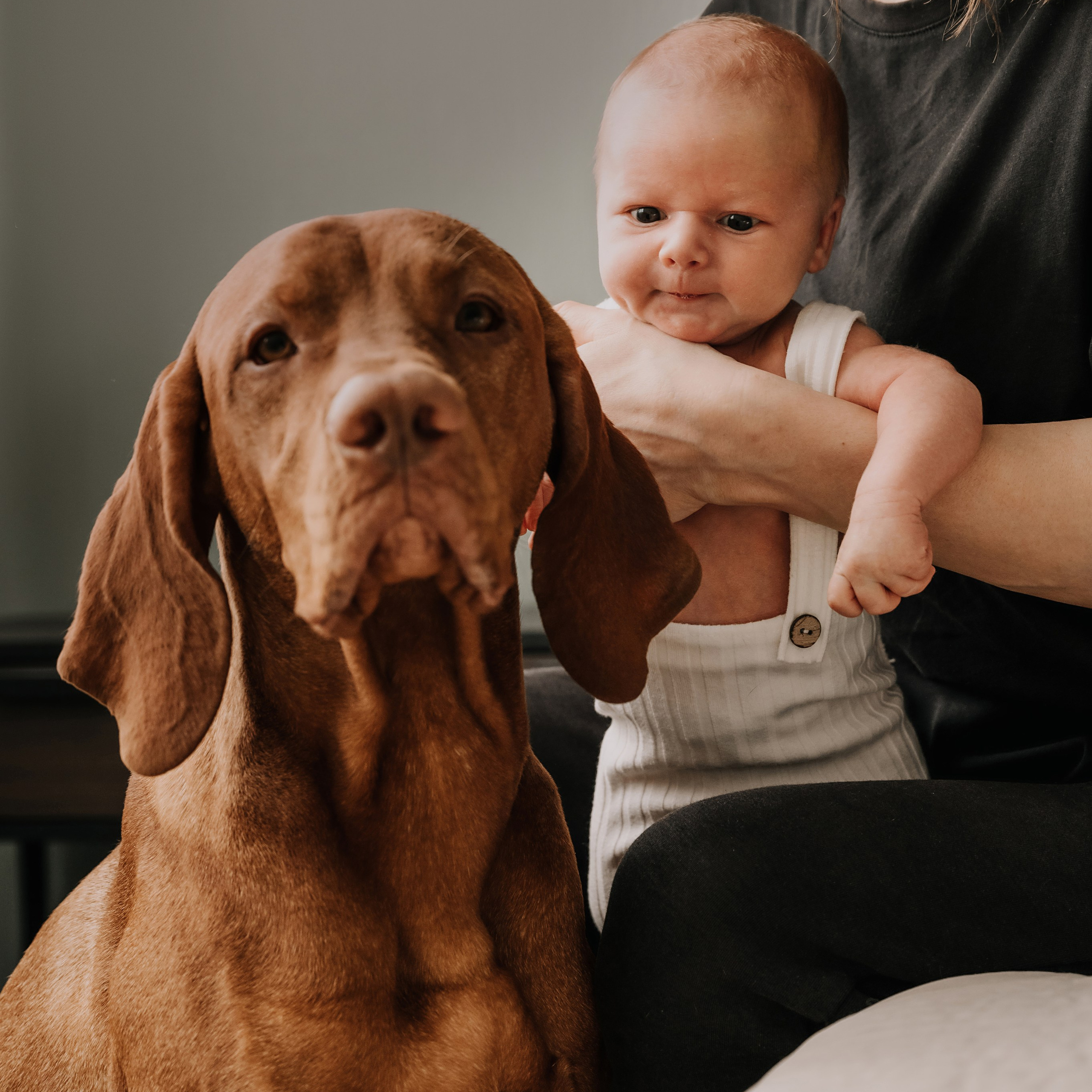 Семейные кадры с новорожденными. Фотограф новорожденных малышей в Санкт-Петербурге