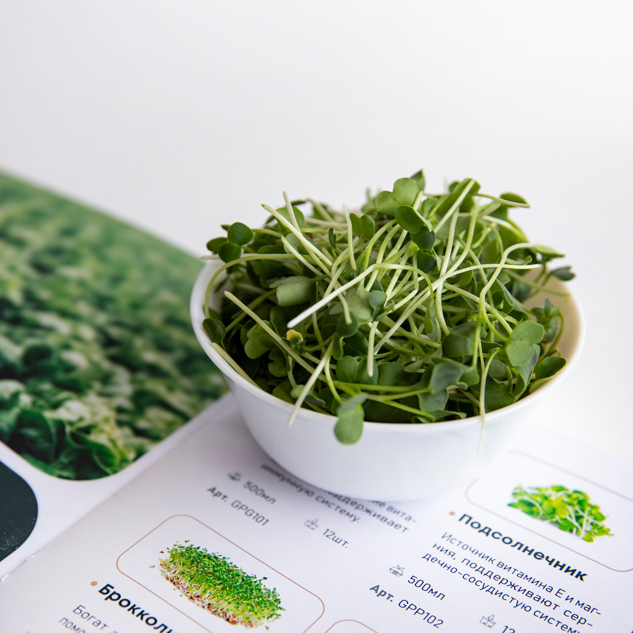 Контент-съемка для бренда Green Power