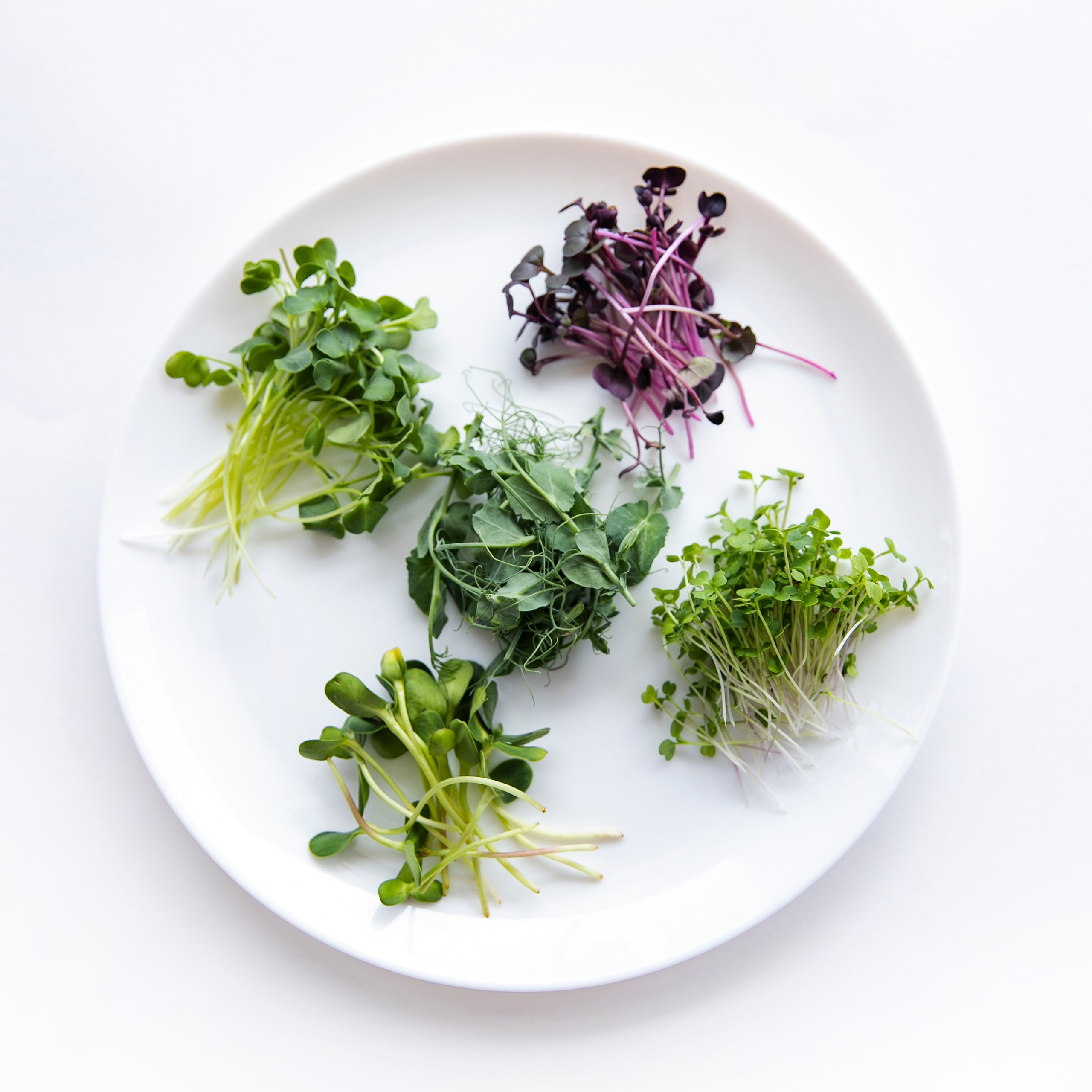 Контент-съемка для бренда Green Power. Мобильный фотограф Владивосток