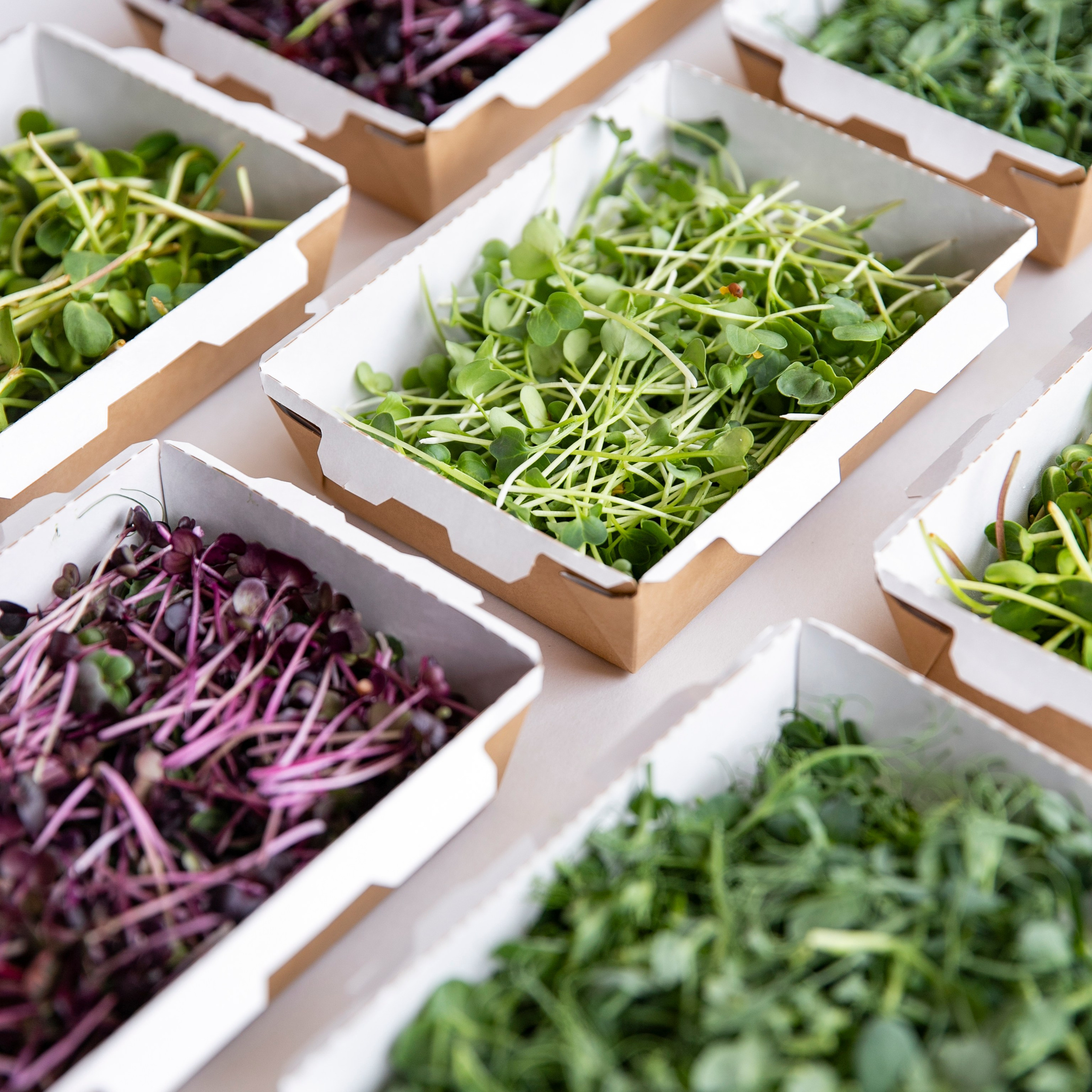 Контент-съемка для бренда Green Power. Мобильный фотограф Владивосток