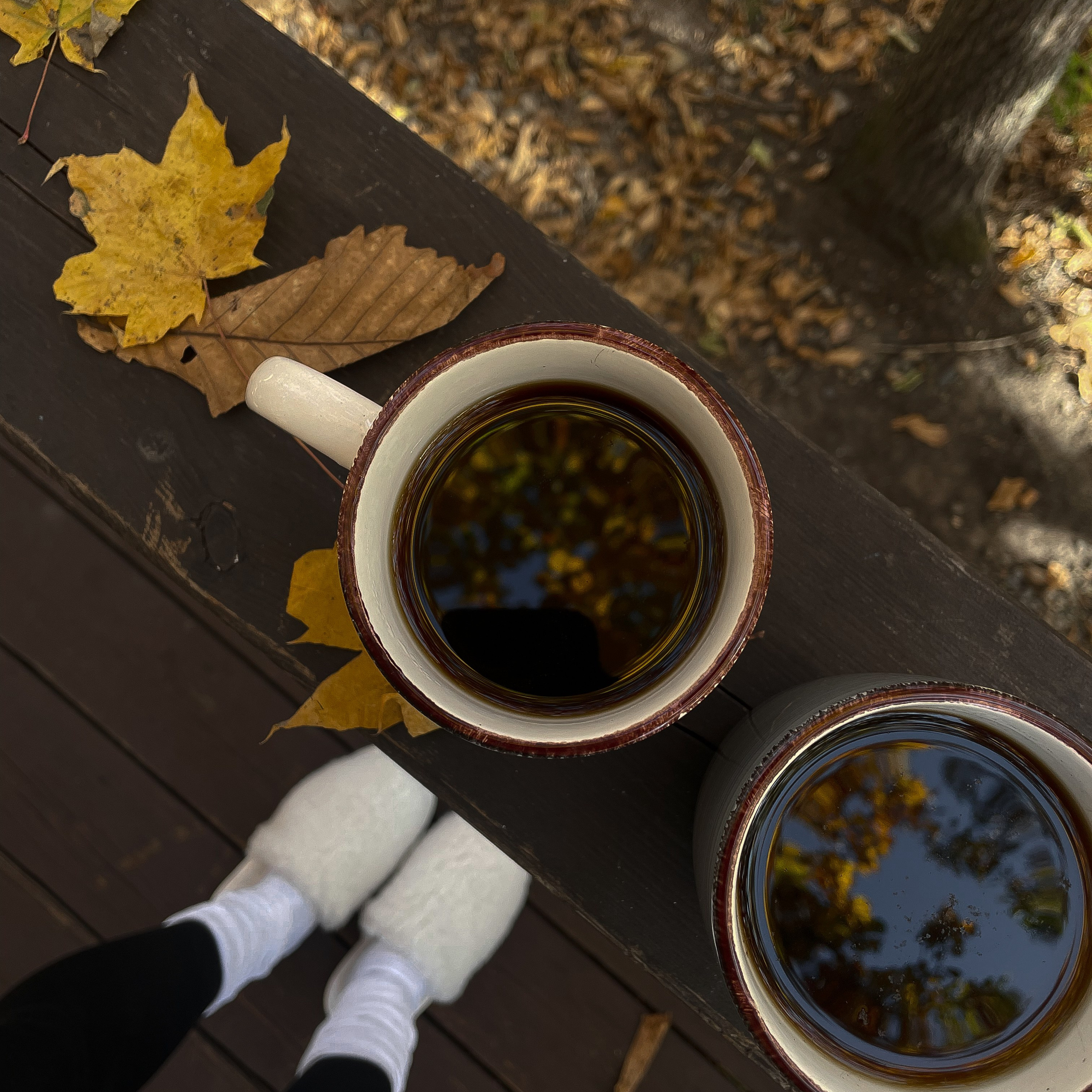 Осенняя контент-съемка для La Frame Glamping (mobile photo). Мобильный фотограф Владивосток