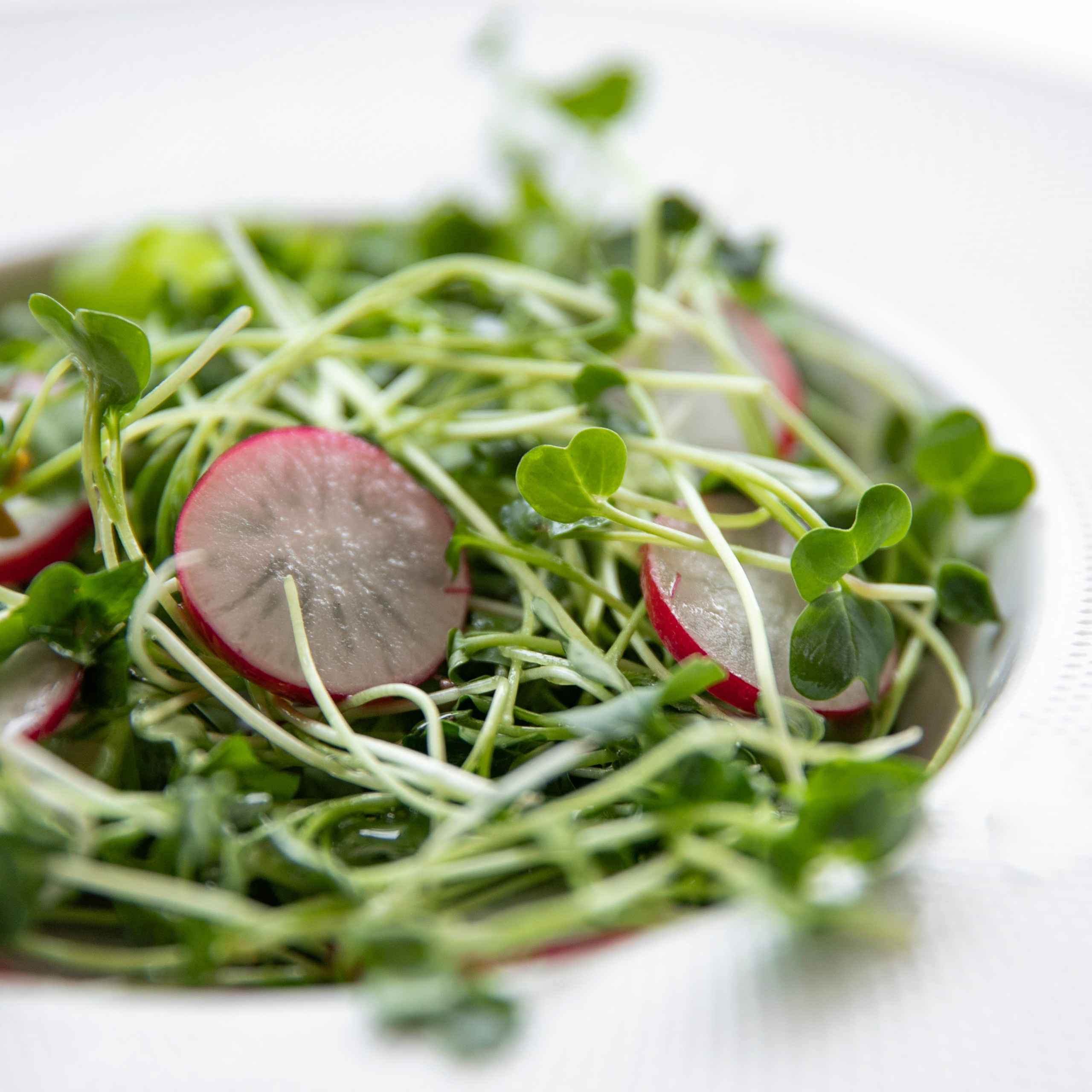 Контент-съемка для бренда Green Power. Мобильный фотограф Владивосток