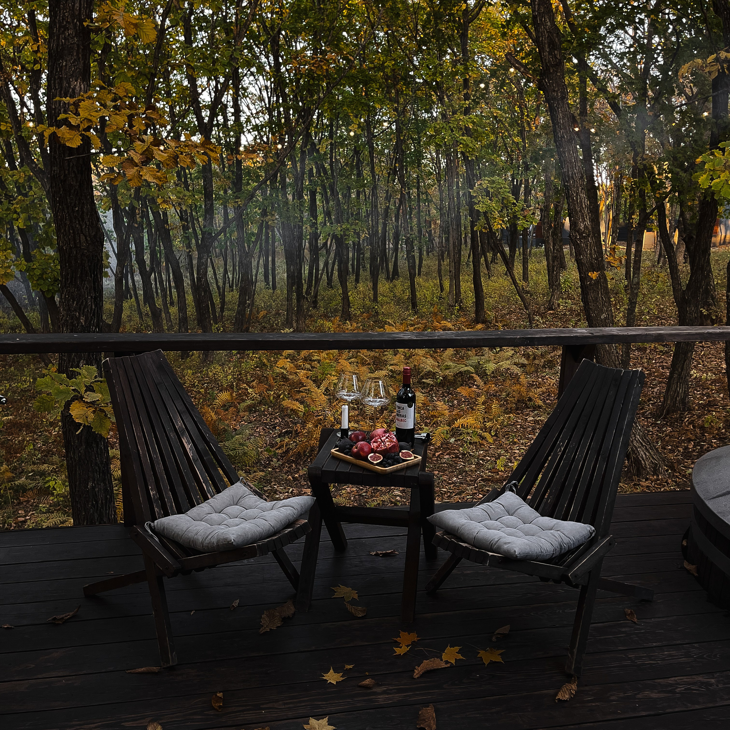 Осенняя контент-съемка для La Frame Glamping (mobile photo). Мобильный фотограф Владивосток