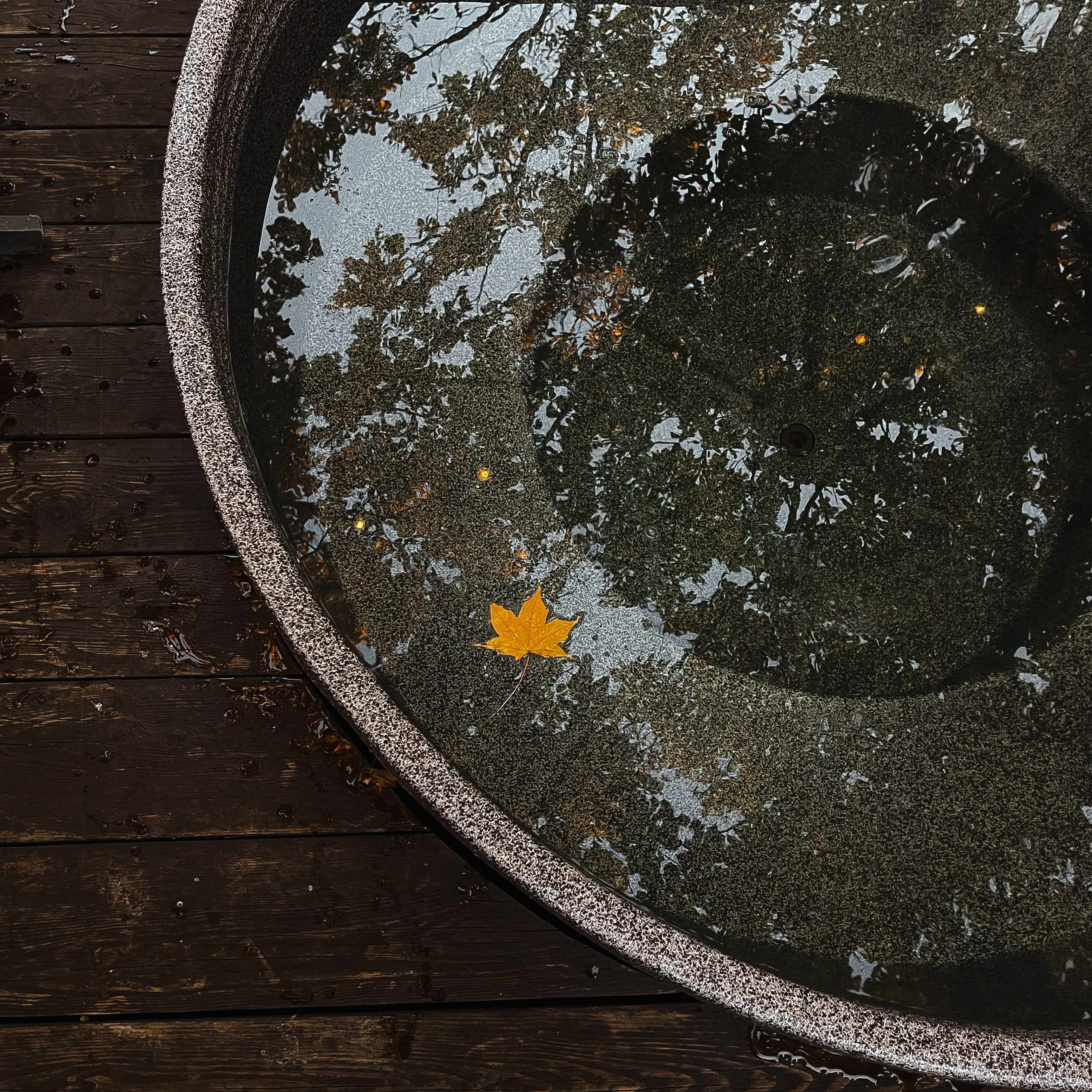 Осенняя контент-съемка для La Frame Glamping (mobile photo). Мобильный фотограф Владивосток