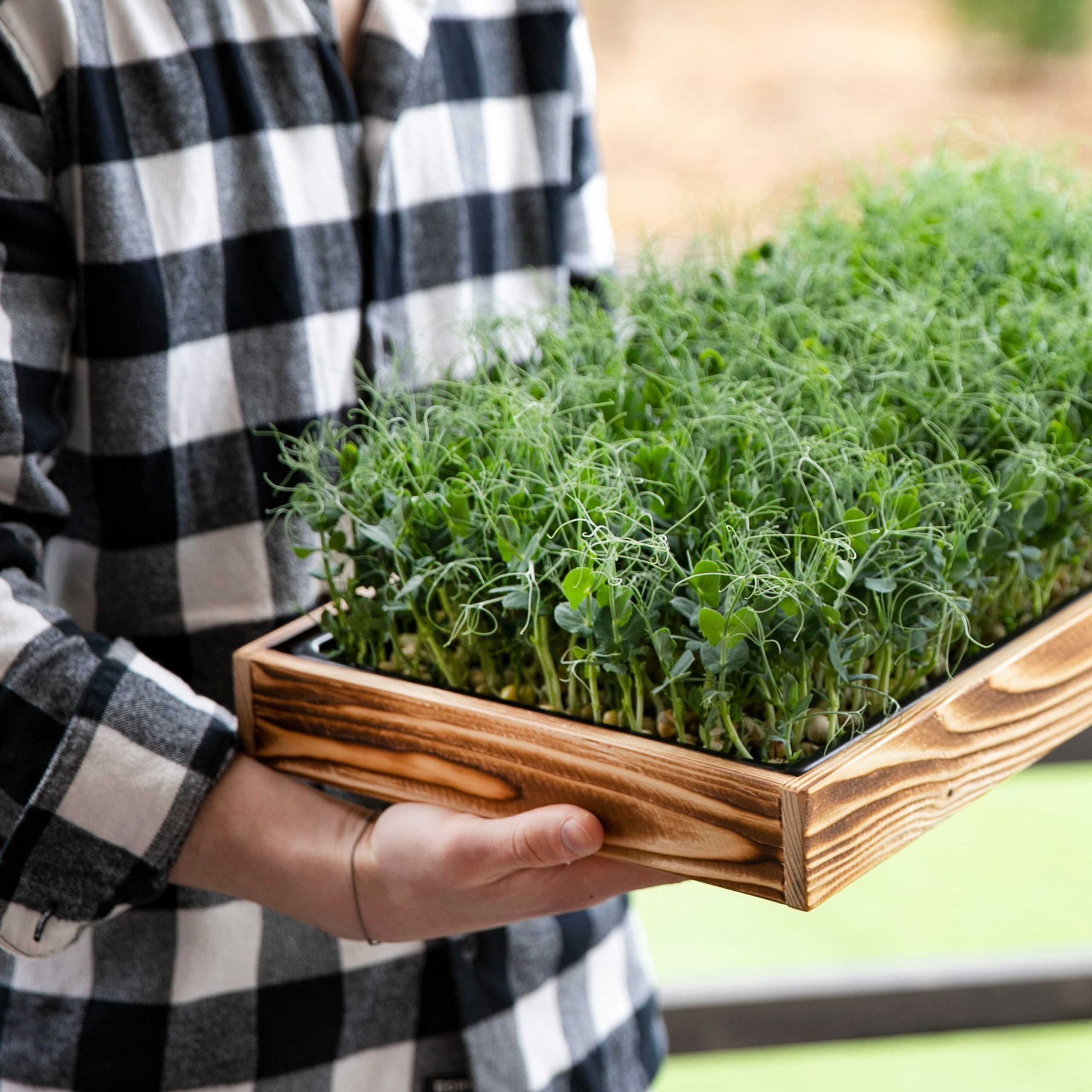 Контент-съемка для бренда Green Power. Мобильный фотограф Владивосток