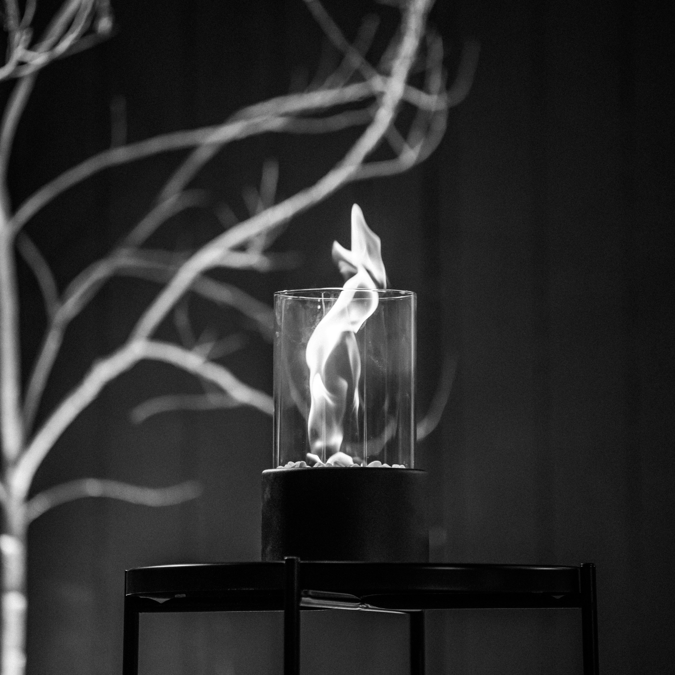 Отзывы. Свадебный, семейный, детский фотограф в Орле