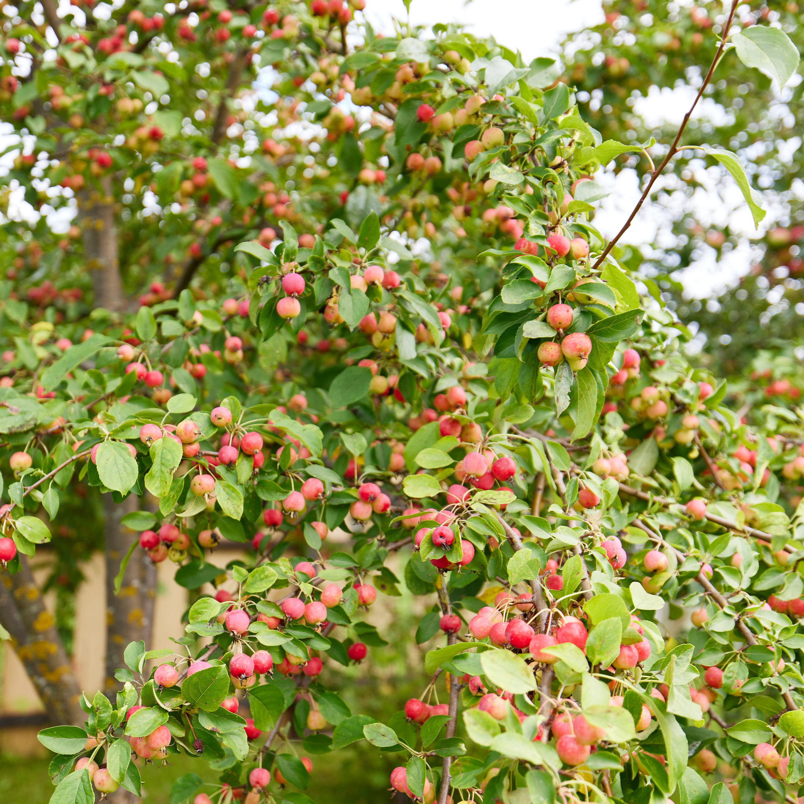 Отзывы. Фото & Видео Лина Доронкина
