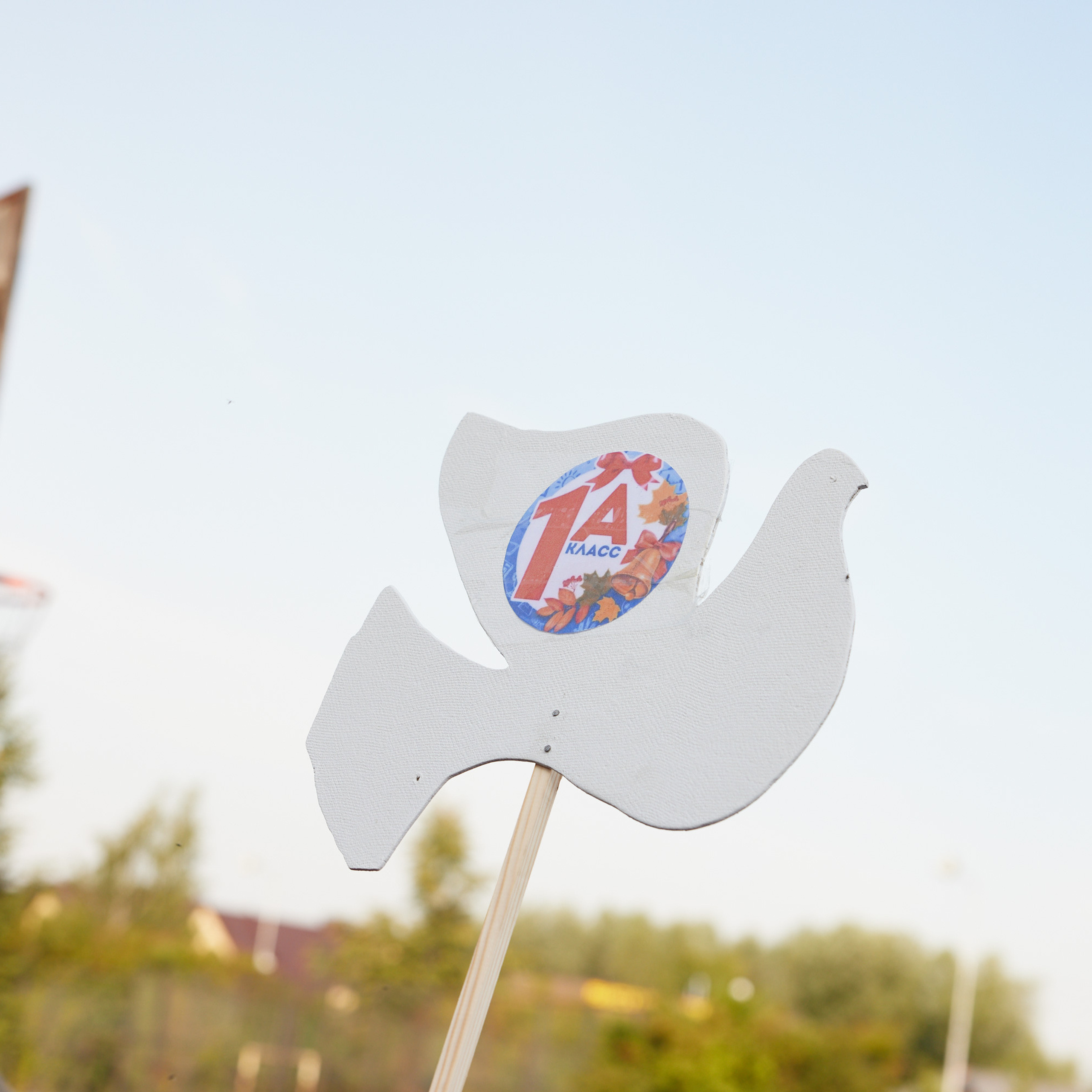 Отзывы. Фото & Видео Лина Доронкина