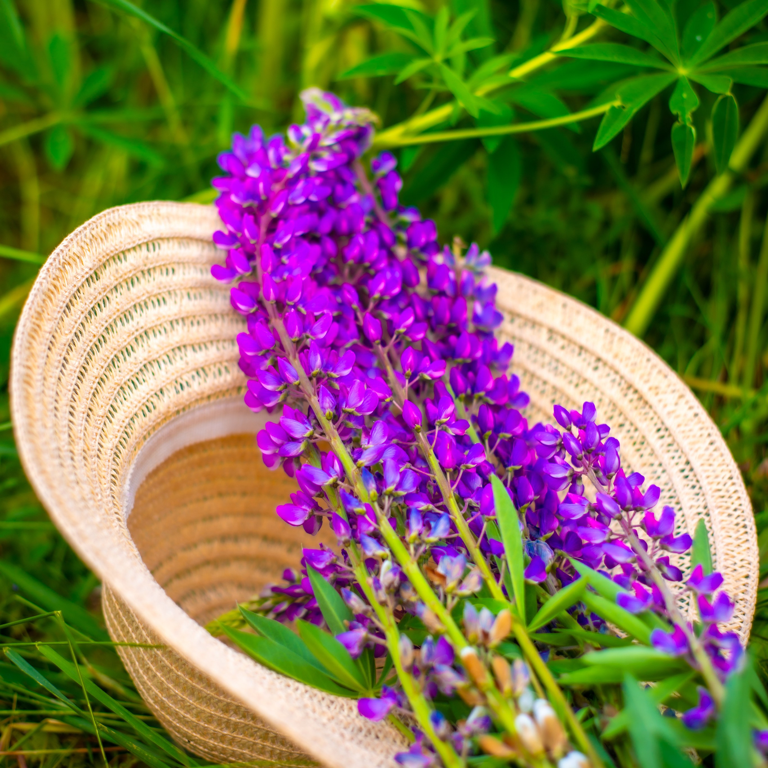 Фотосессии