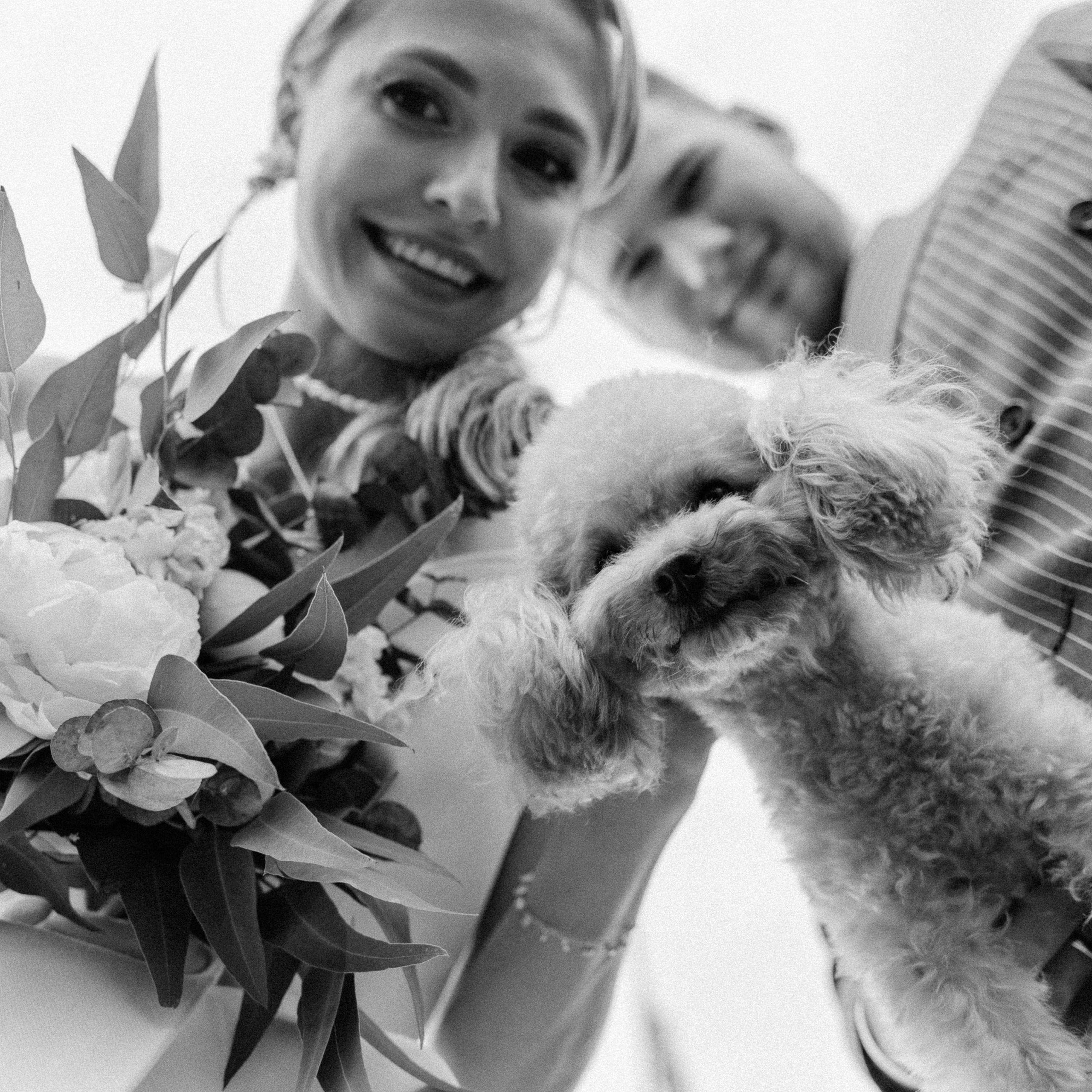 Юрий и Екатерина/2024