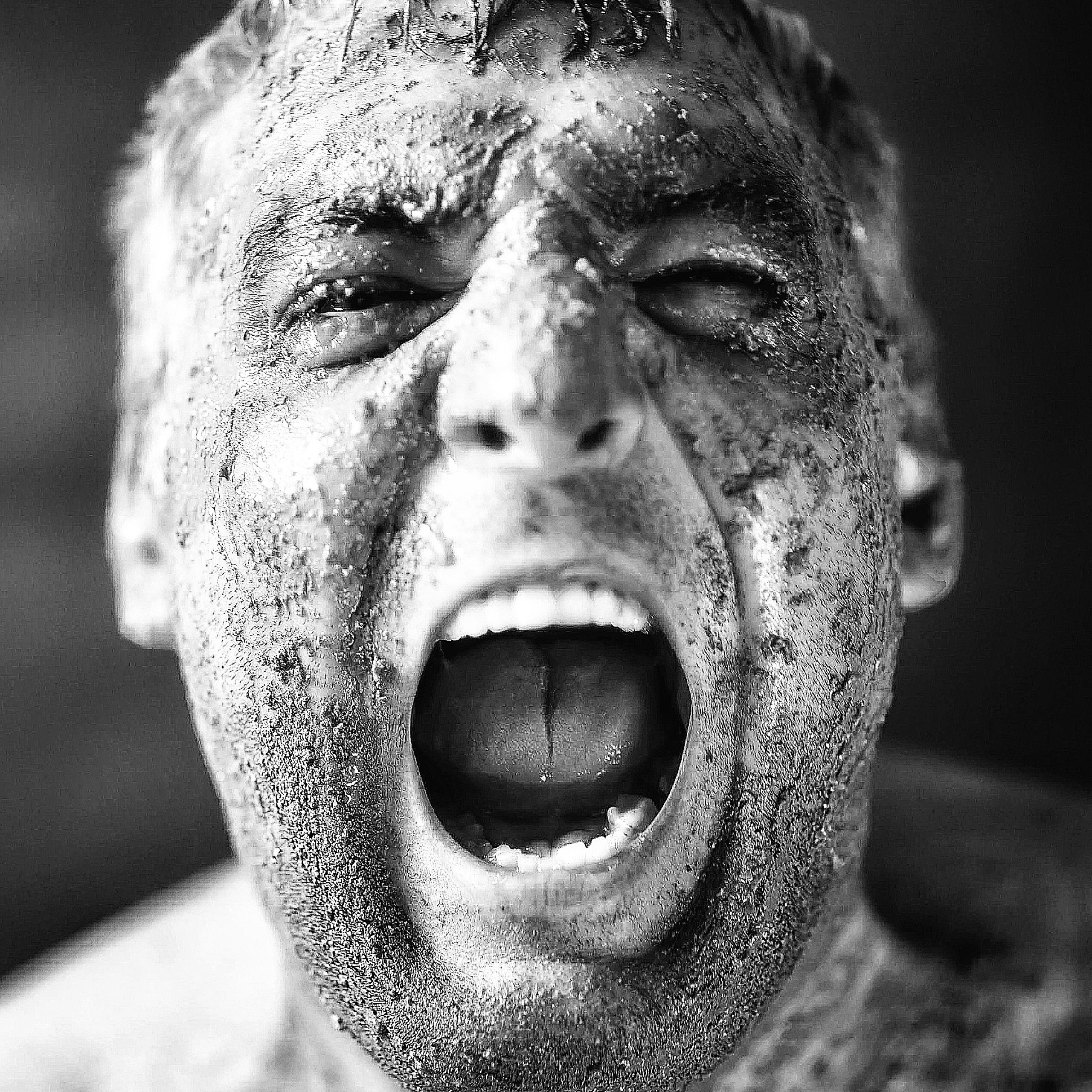 Автопортреты