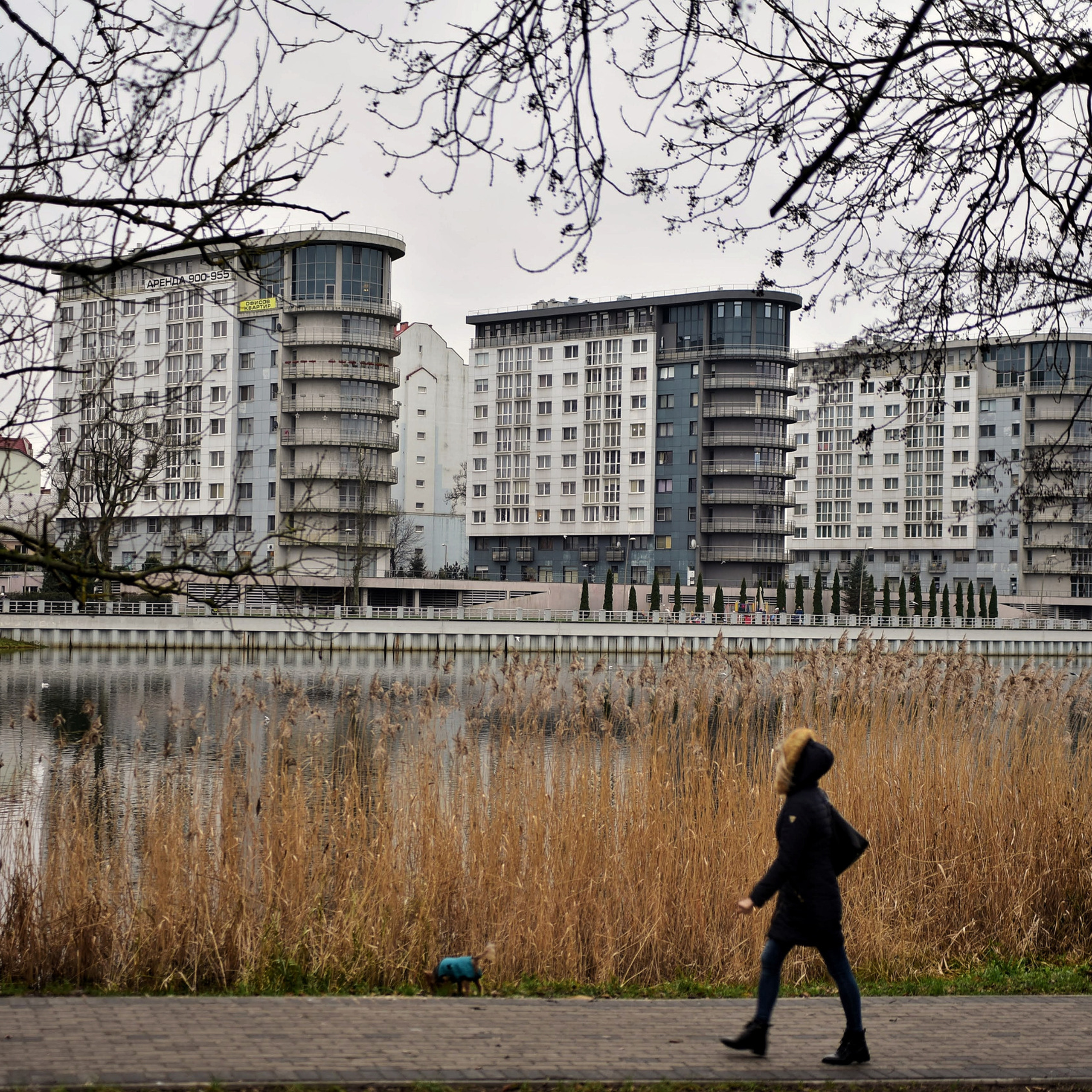 Калининград. Готовимся к Новому году. Декабрь 2020