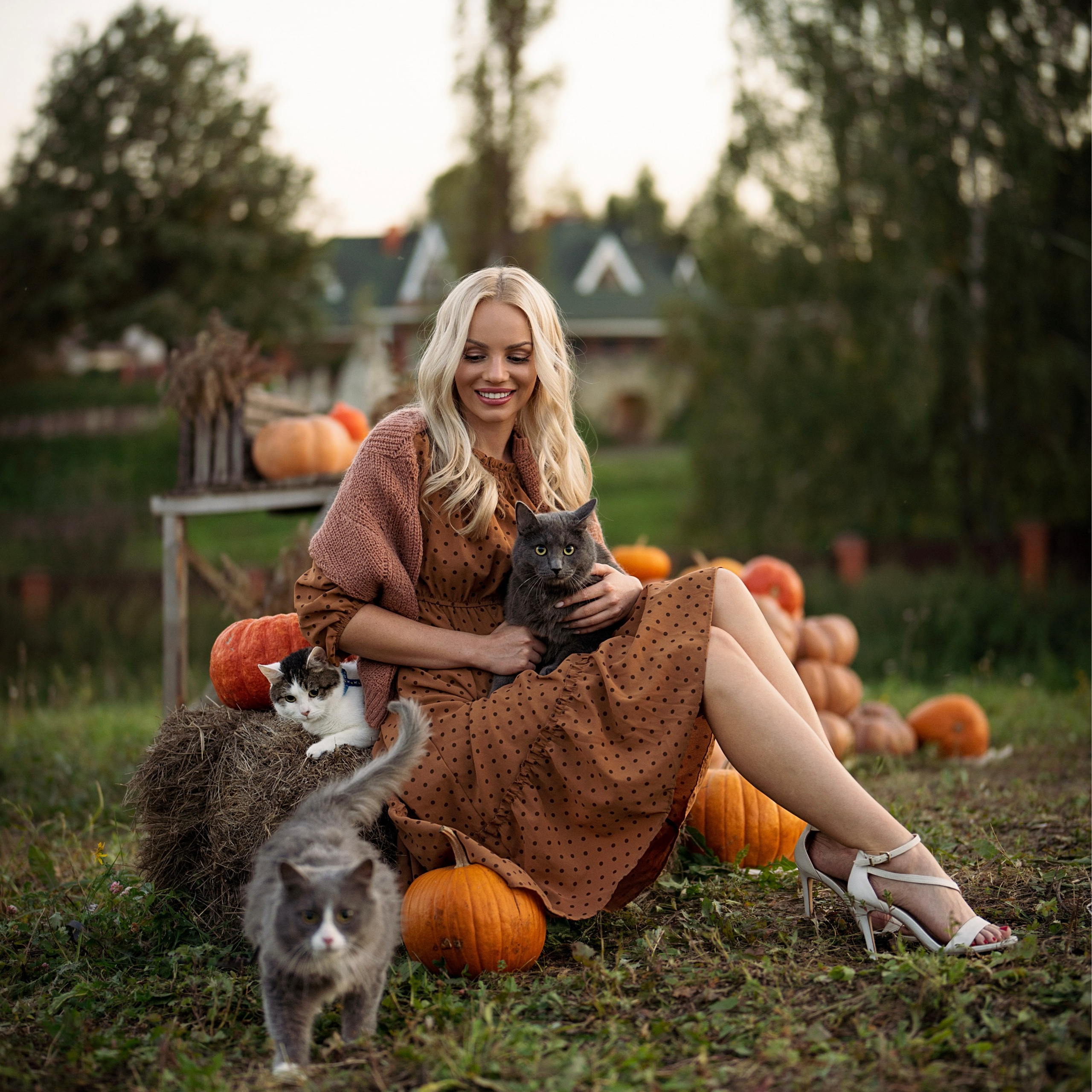 Теплые лапы осени