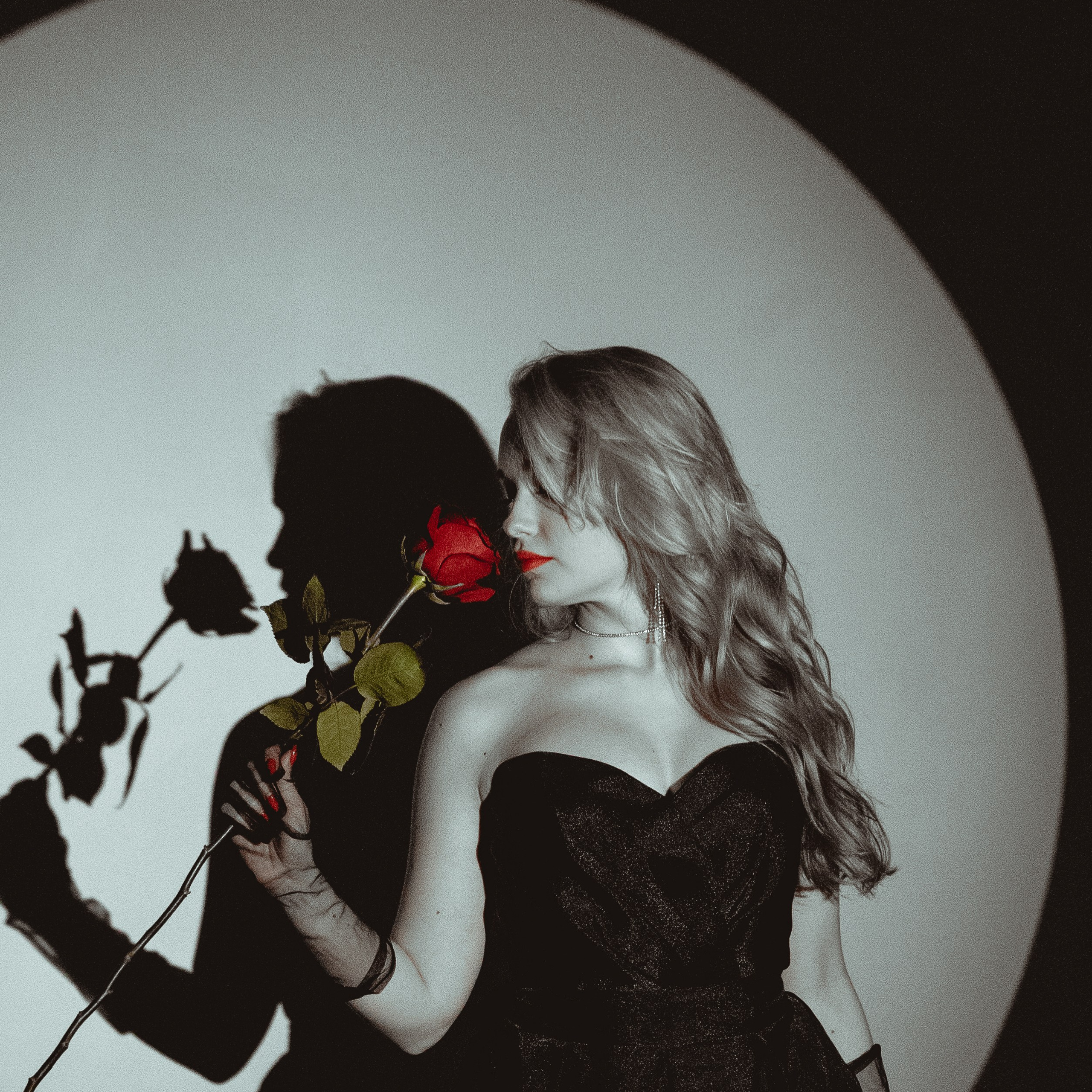 Красная роза