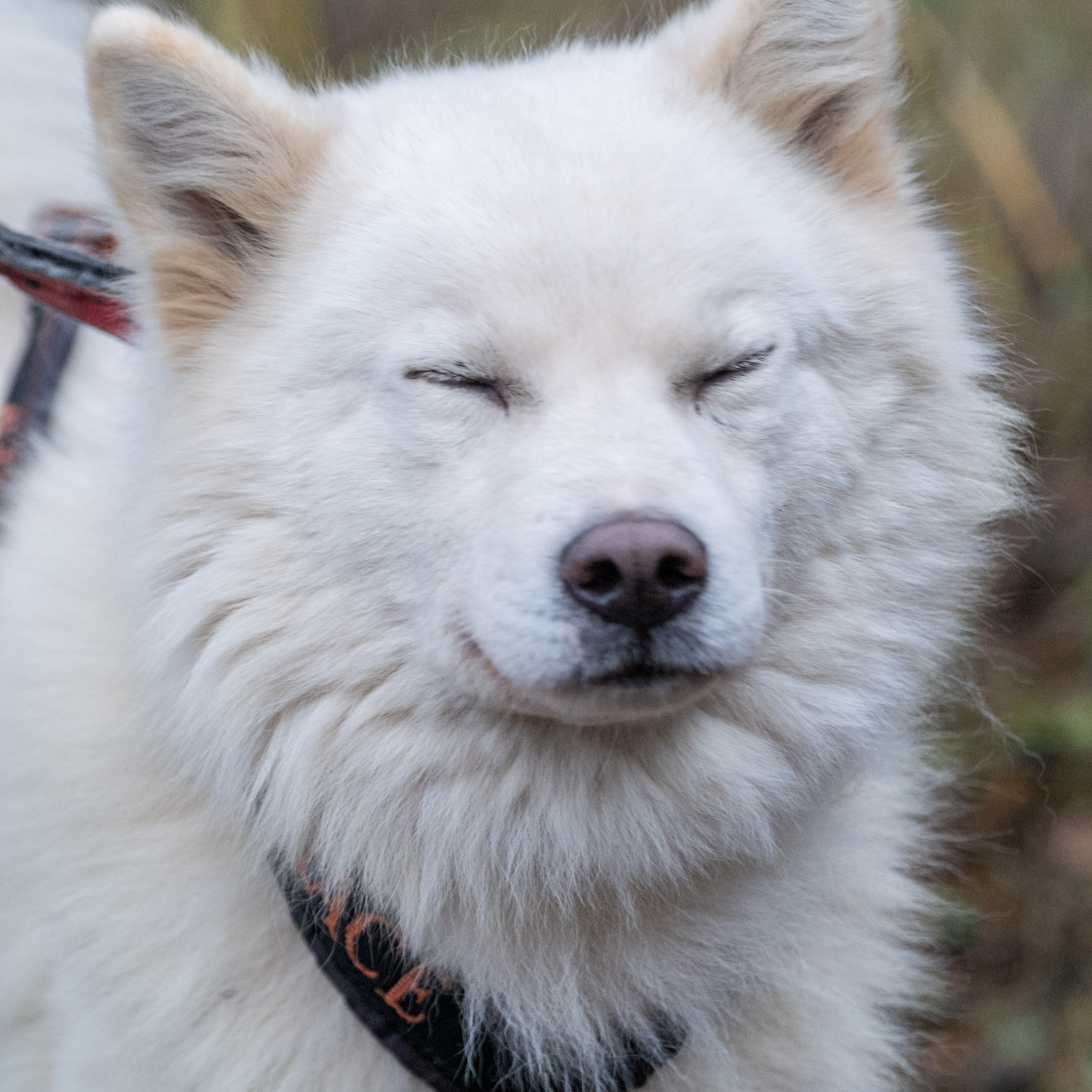 Анонсы. Репортажный фотограф в Казани Павел Серпокрылов
