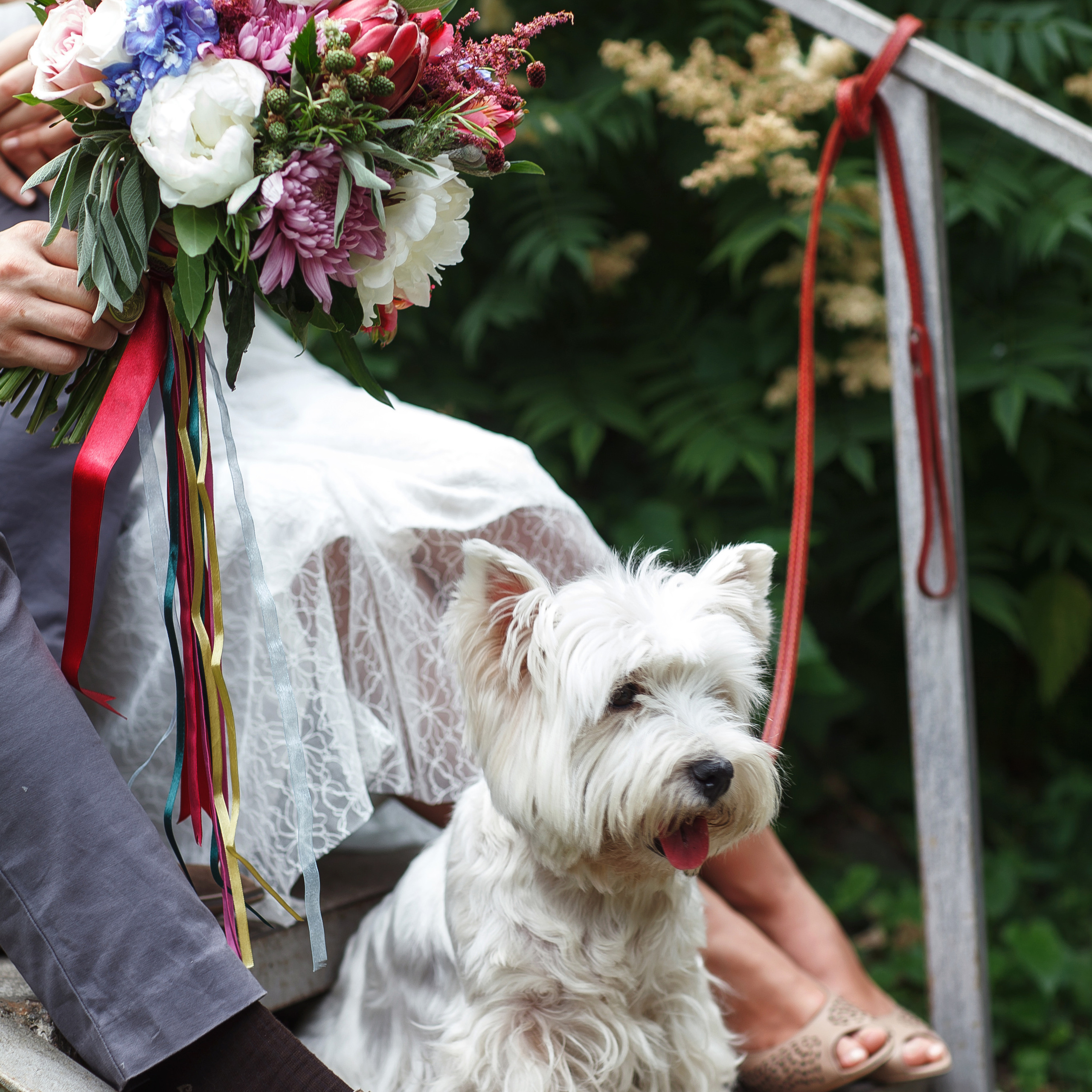 «ПАКЕТЫ УСЛУГ» НА СВАДЕБНУЮ ФОТОСЪЕМКУ. Свадебный и семейный фотограф в г. Краснодар Терентьева Юлия