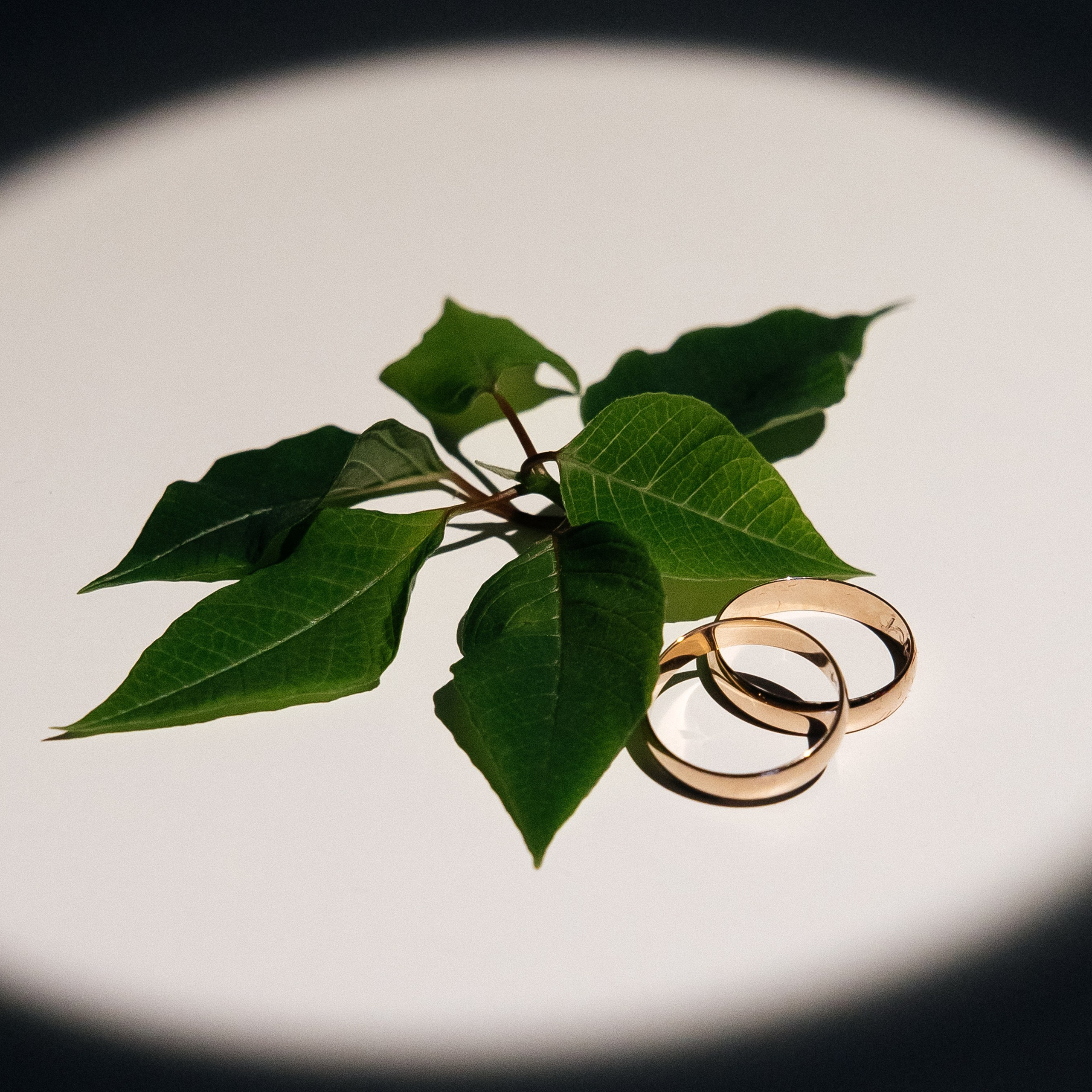 Отзывы. Свадебный фотограф в Иваново Гитарина Черняева