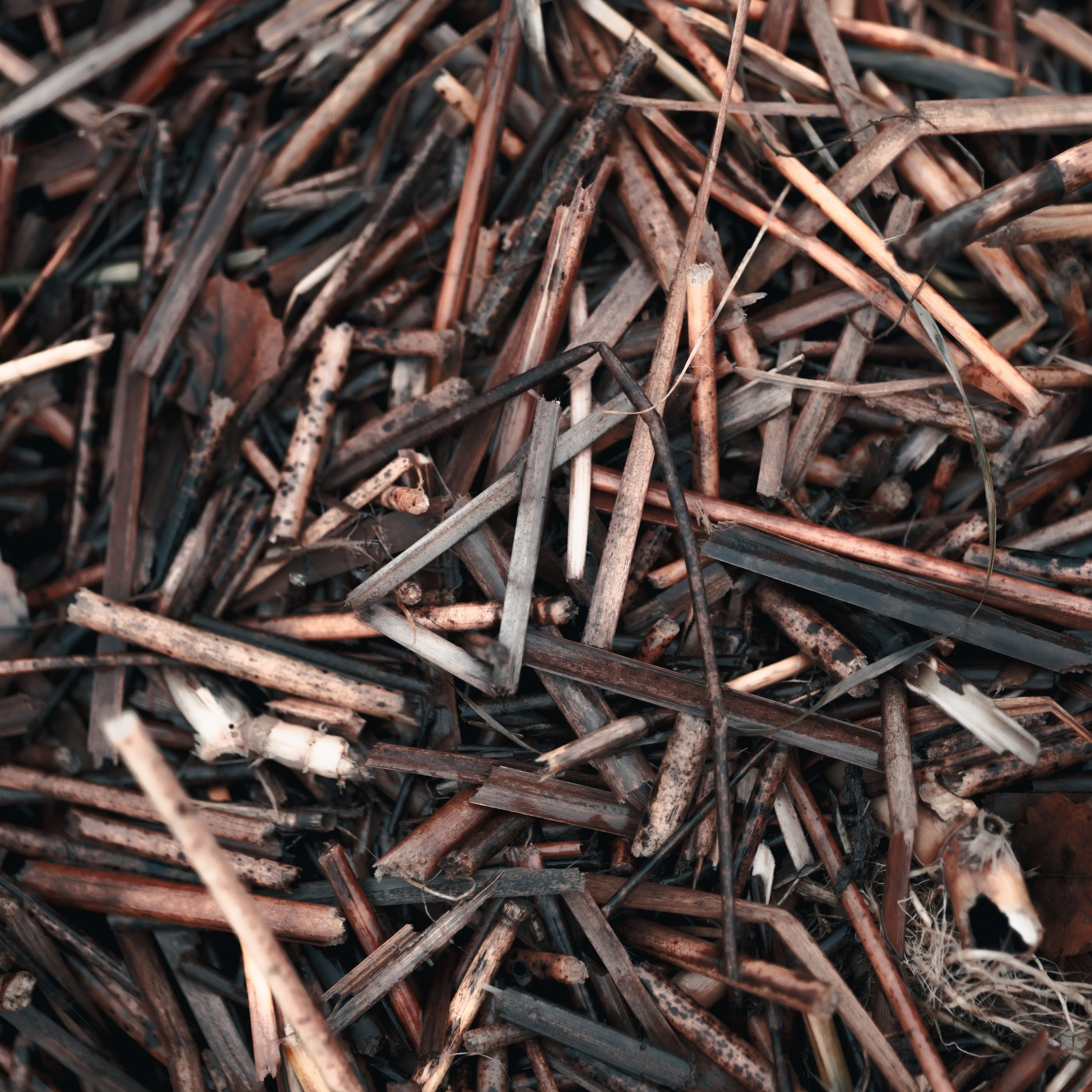 Подъезд к Первому Северному форту 09.11