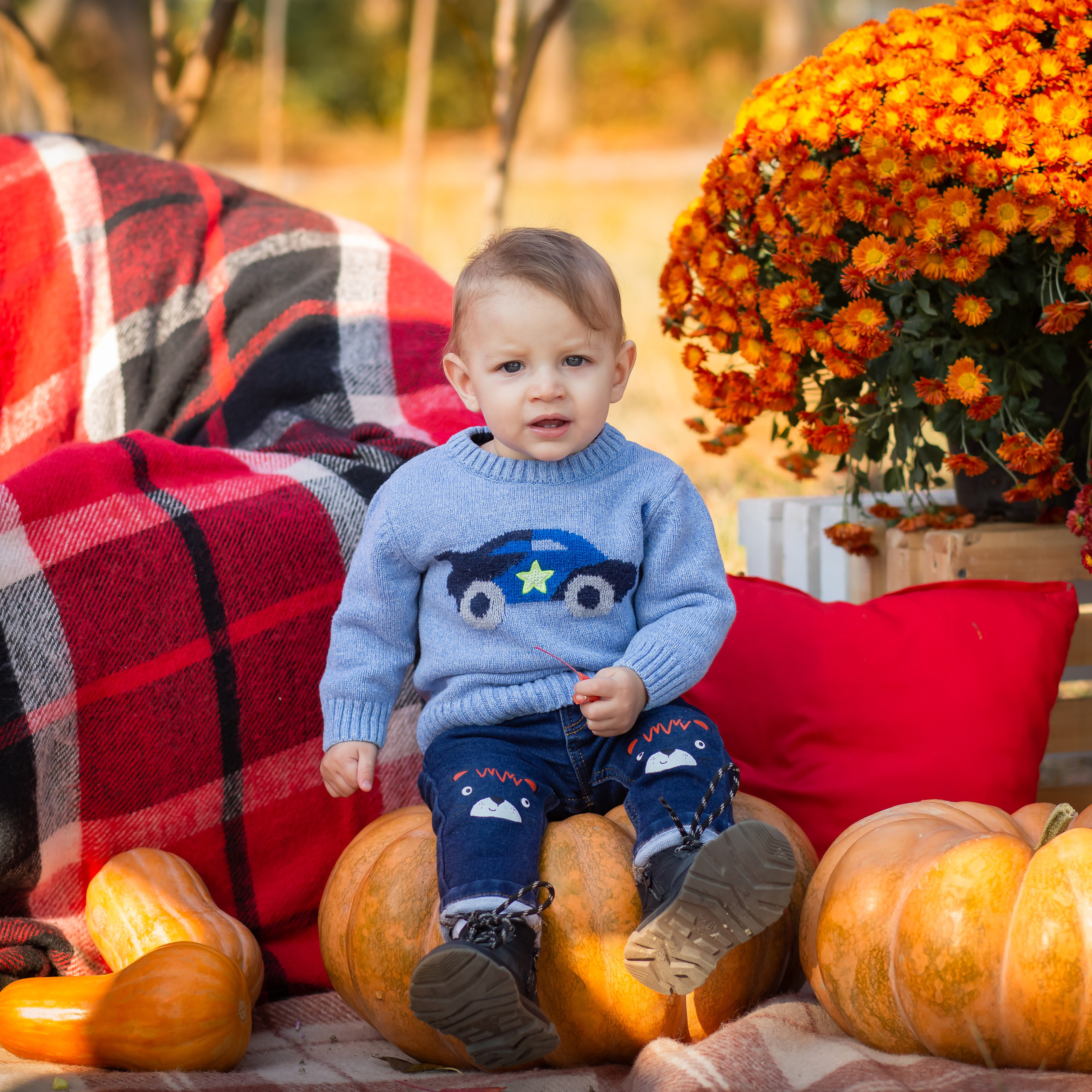 Отзывы о моей работе. Фотограф в Феодосии Наталья Булгакова